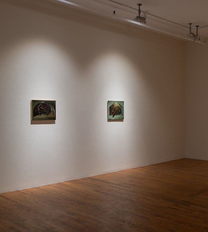 The Rabbits - Image 4