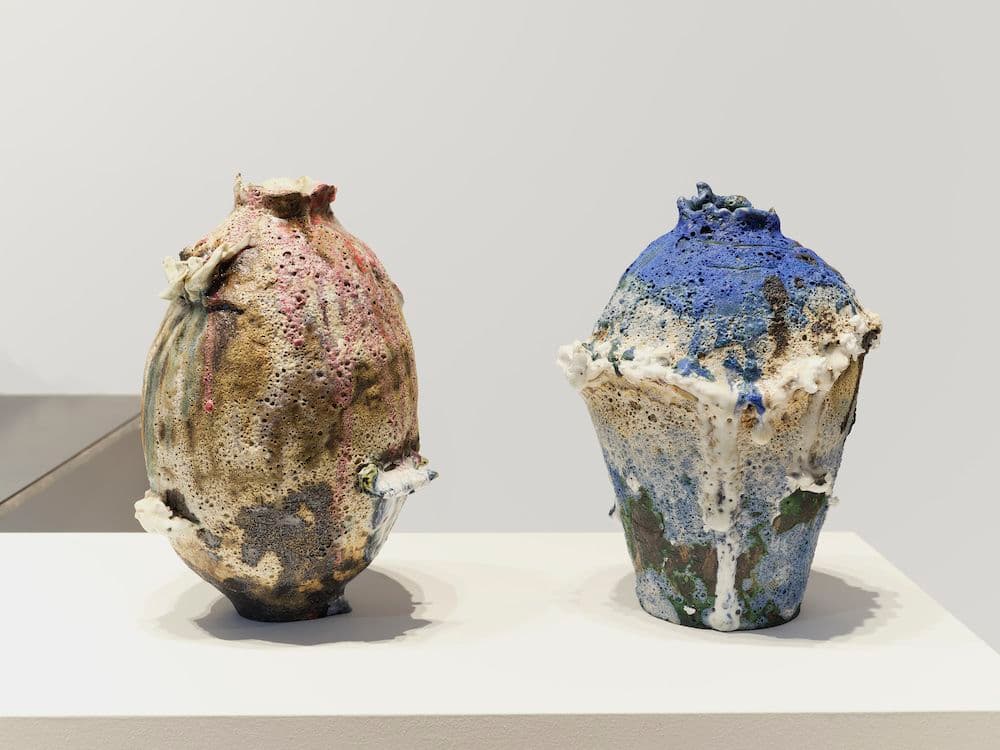 Jane Yang-D’Haene — Earthbound — image 4 of 4