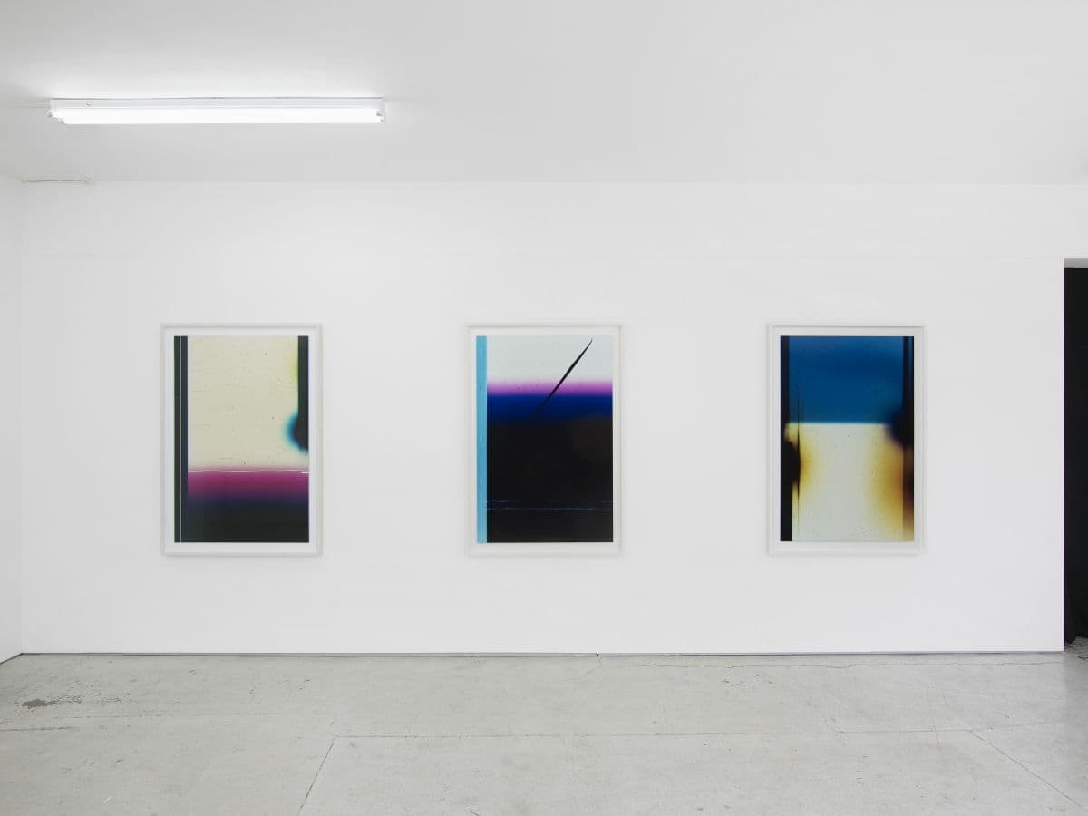 Elizabeth McAlpine — Light Reading — image 5 of 8