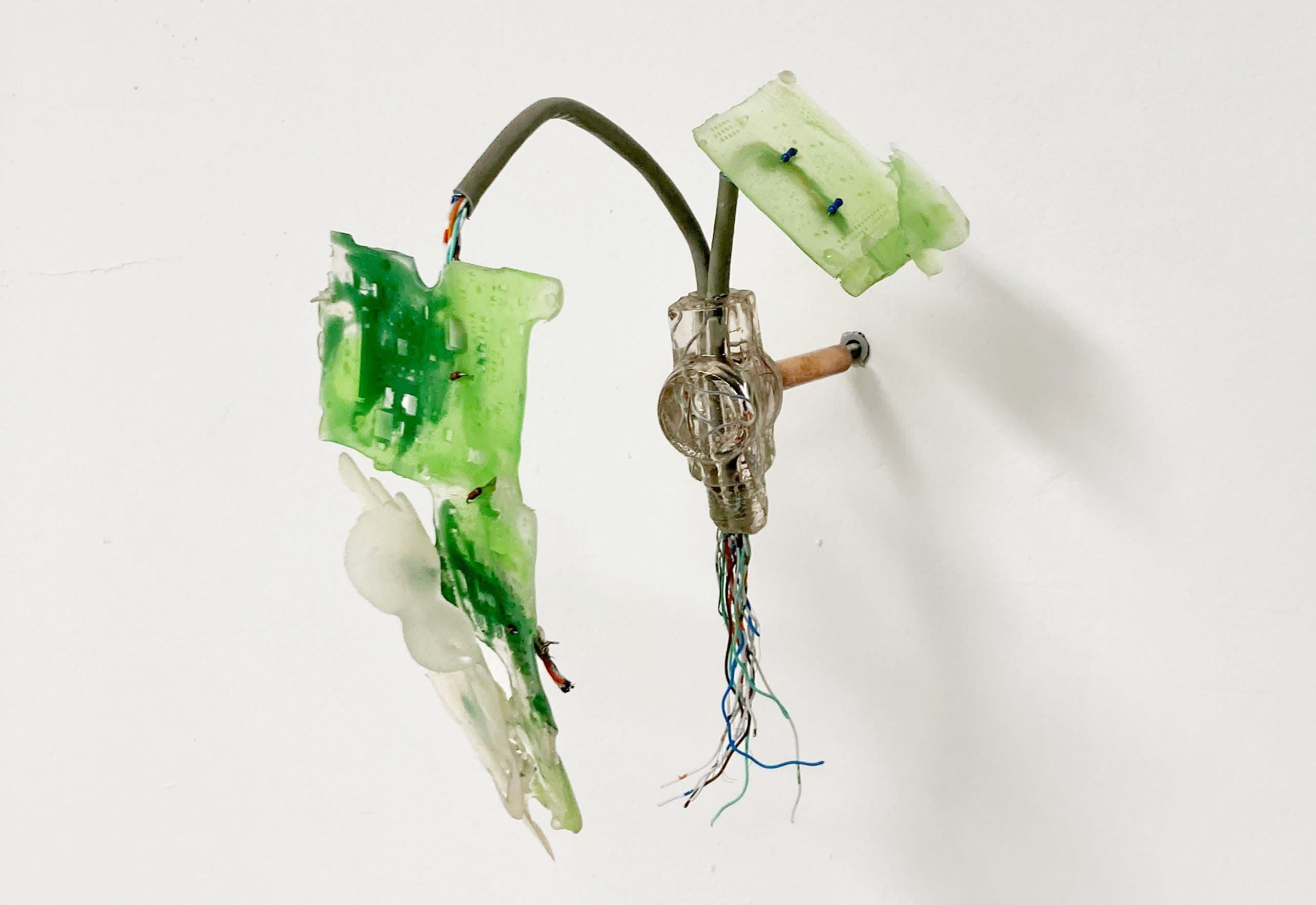 Group Exhibition — Permission to Bloom — image 2 of 2