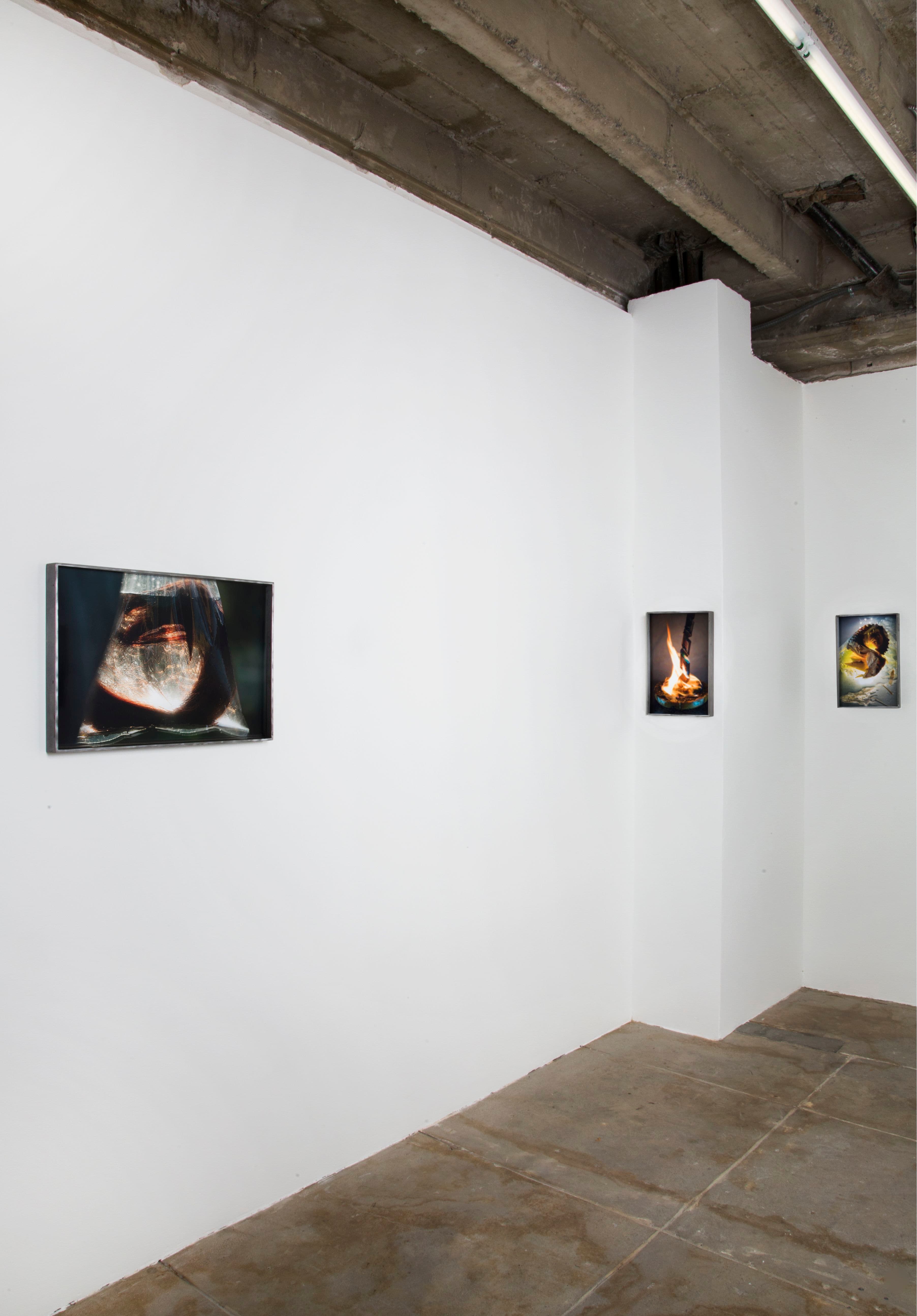 Diane Severin Nguyen — Flesh Before Body — image 3 of 5