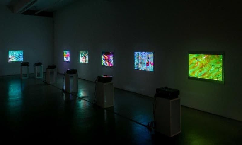 Dave Miko & Tom Thayer — Dave Miko & Tom Thayer — image 1 of 3