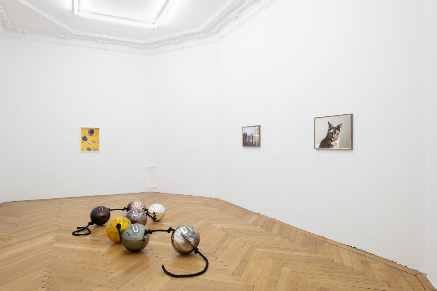 Kaspar Müller — Why Always Me? — image 5 of 5