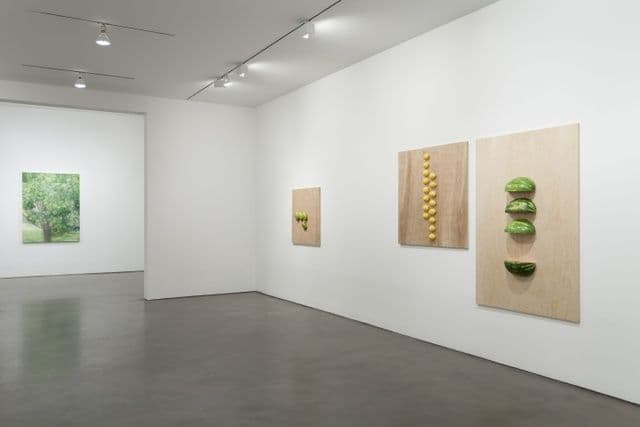 Matthew Benedict, Robert Bordo, Diango Hernández, Stefan Kürten, Sylvia Plimack Mangold — New Paintings — image 2 of 6