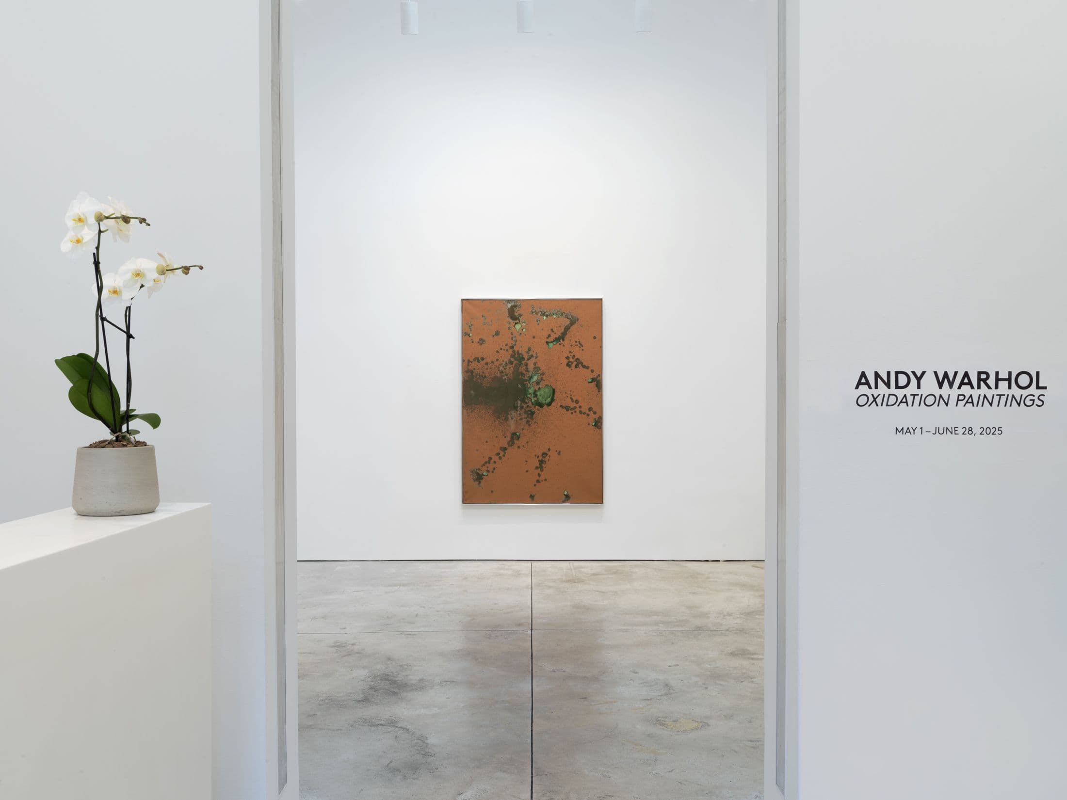 Andy Warhol — Oxidation Paintings — image 9 of 9