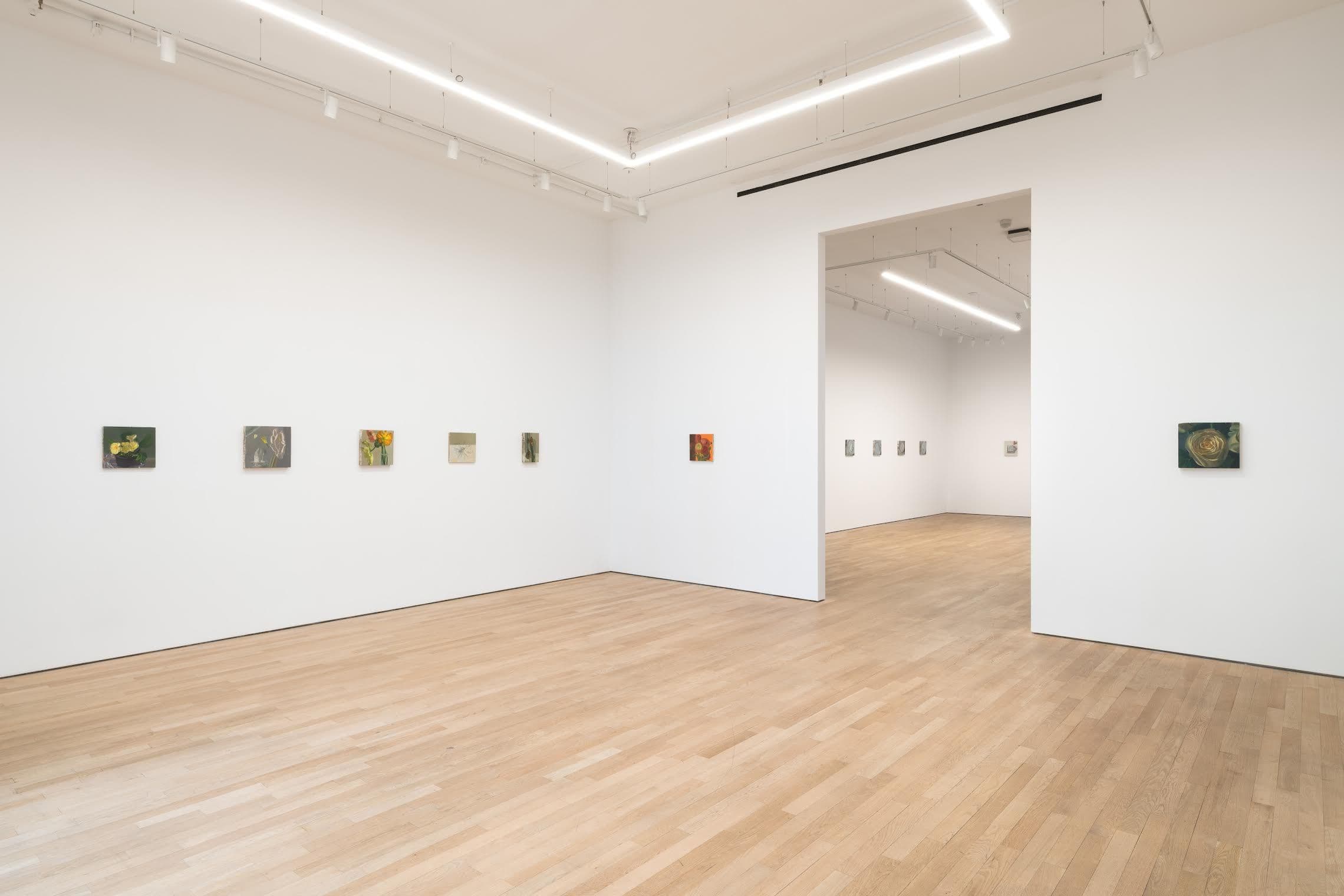Phoebe Helander — Paintings from the Orange Room — image 1 of 4