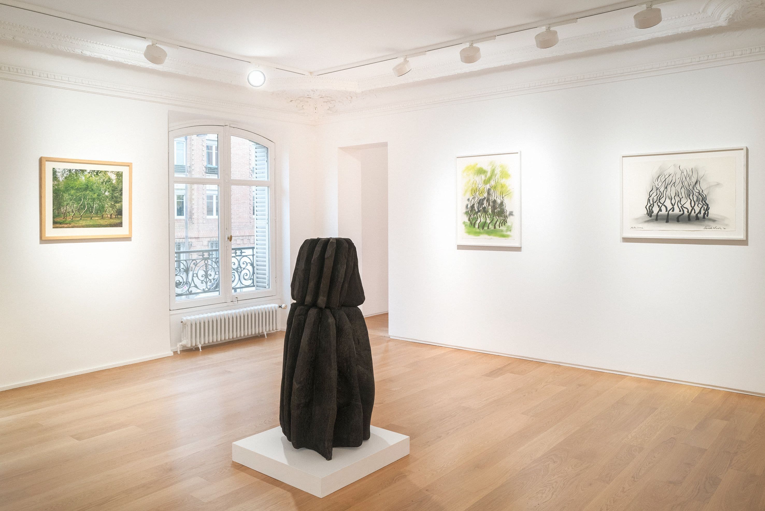 David Nash — 45 Years of Drawing