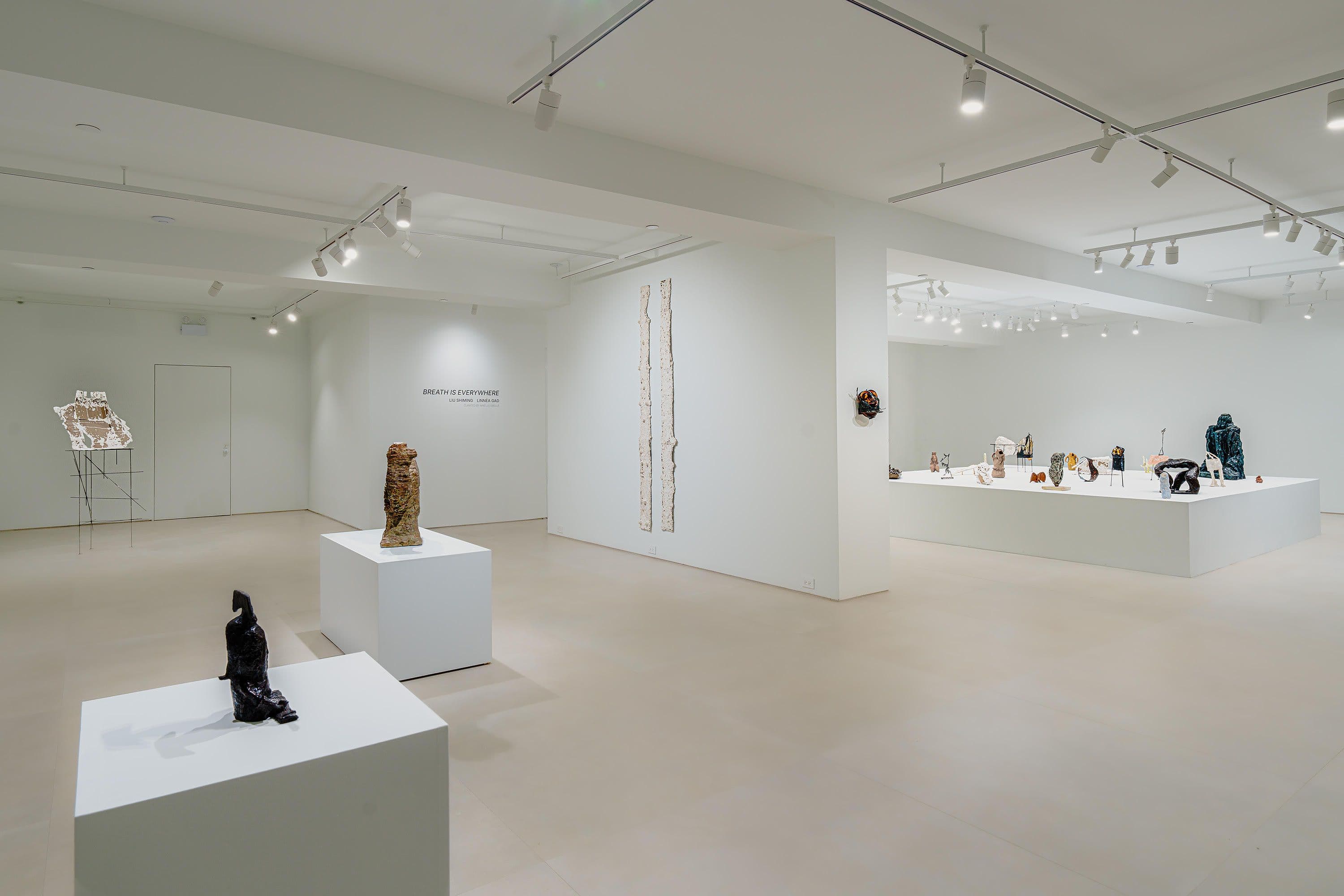 Liu Shiming & Linnéa Gad — Breath is Everywhere — image 1 of 2