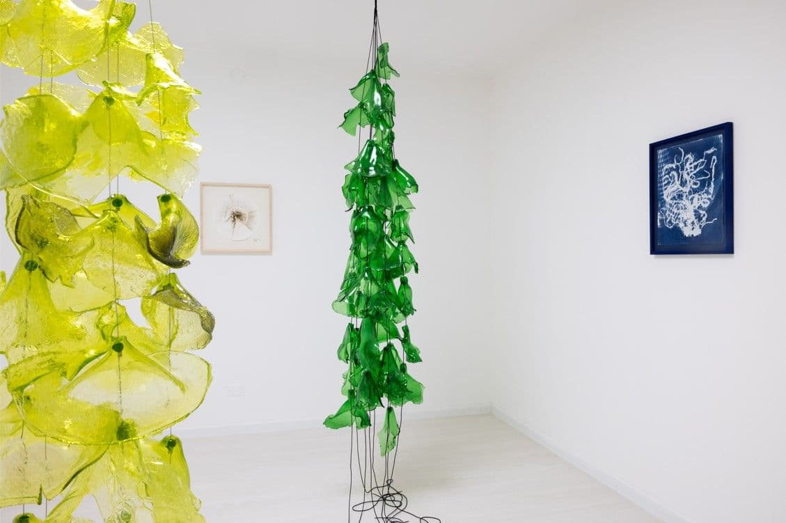 Tue Greenfort — Medusa Alga Laguna