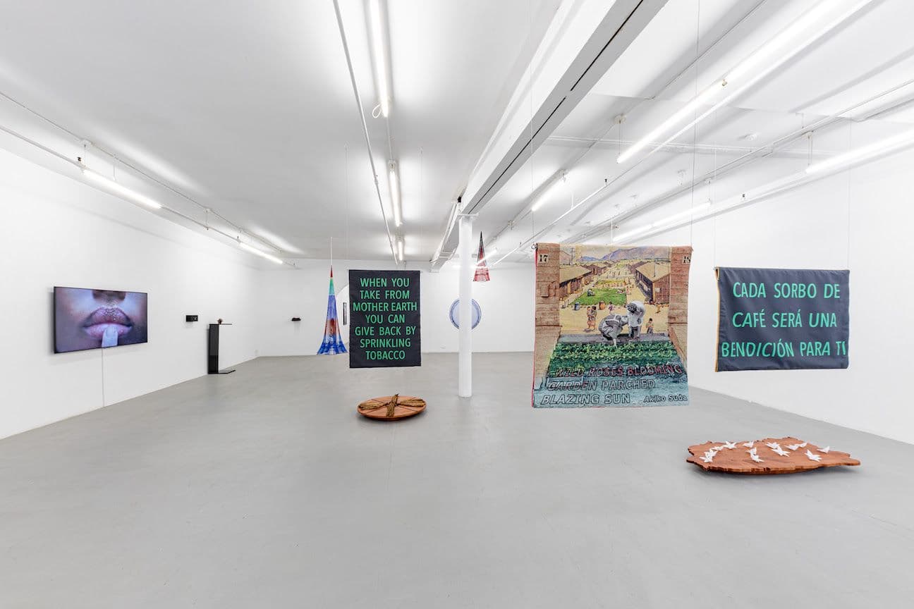 Carolina Caycedo — Scintillae on Earth — image 2 of 3