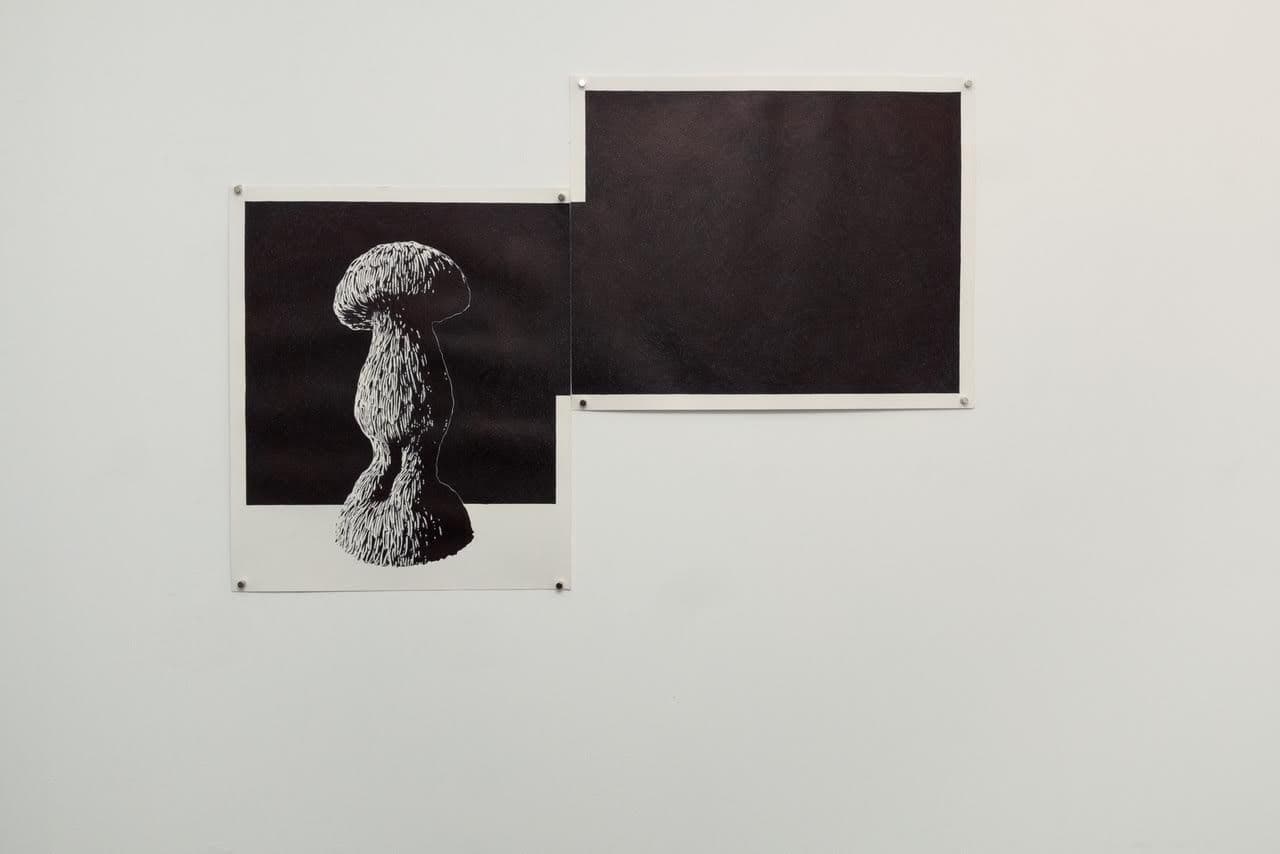 Carl D'Alvia — Paper Trail — image 3 of 3