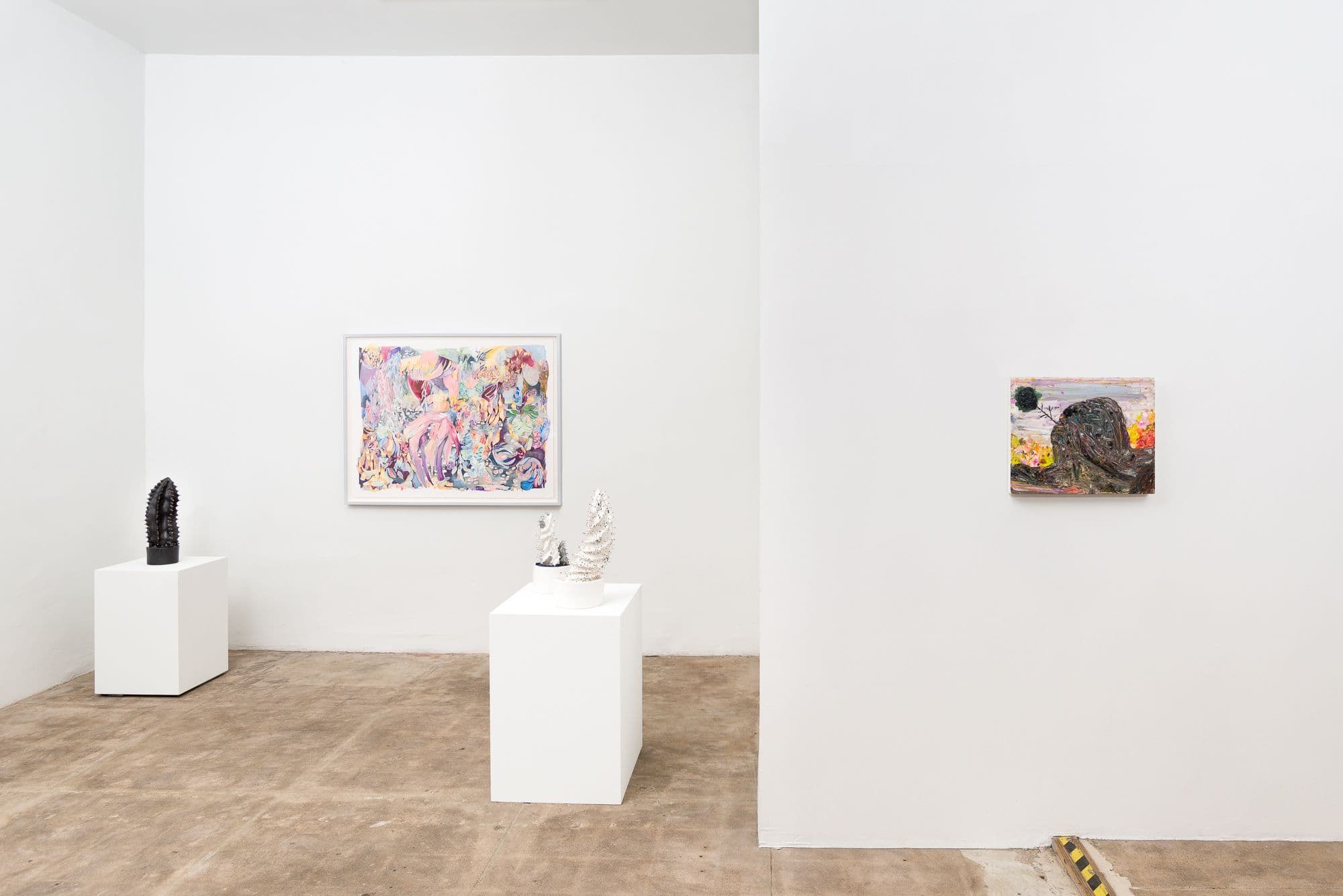 CES Gallery