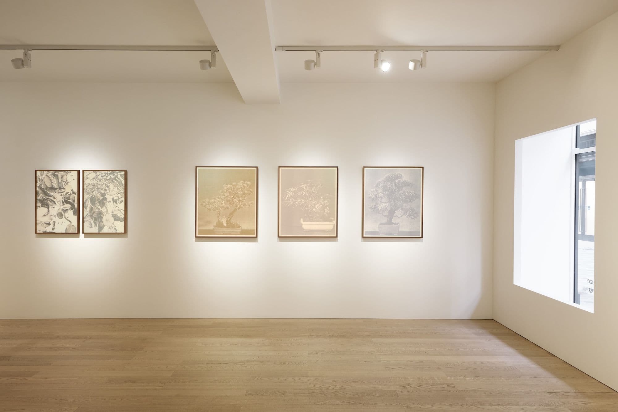 Xiaochi Dong & Feiyi Wen — The Garden and the Gaze — image 12 of 12
