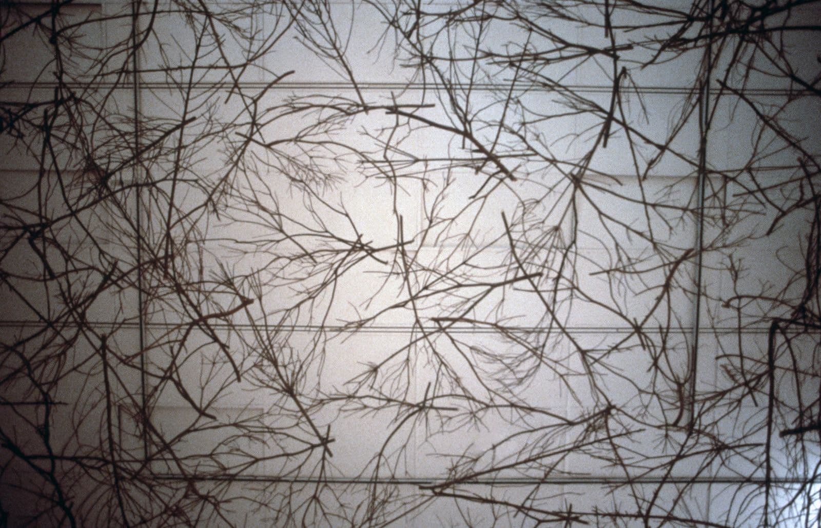 Maren Hassinger — Blanket of Branches