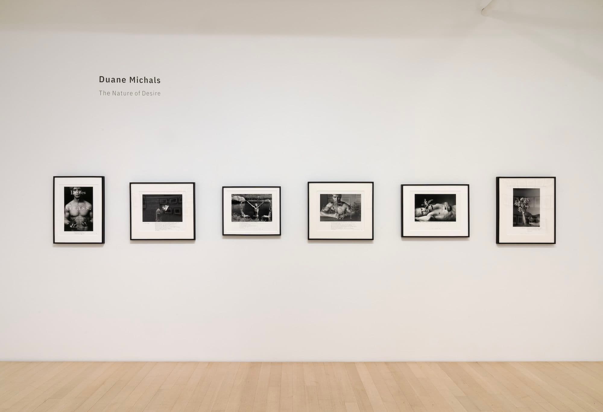 Duane Michals — The Nature of Desire — image 6 of 8