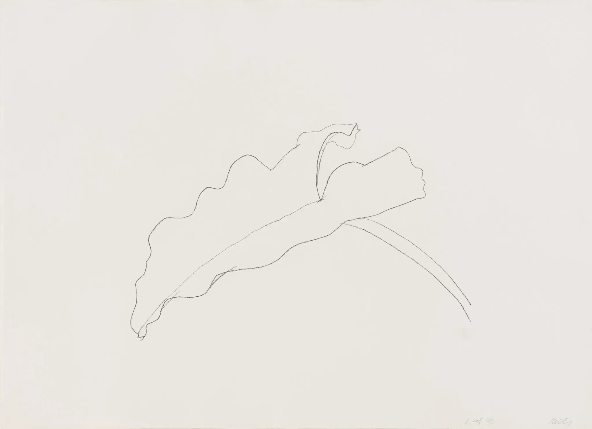 Ellsworth Kelly — Plant Lithographs