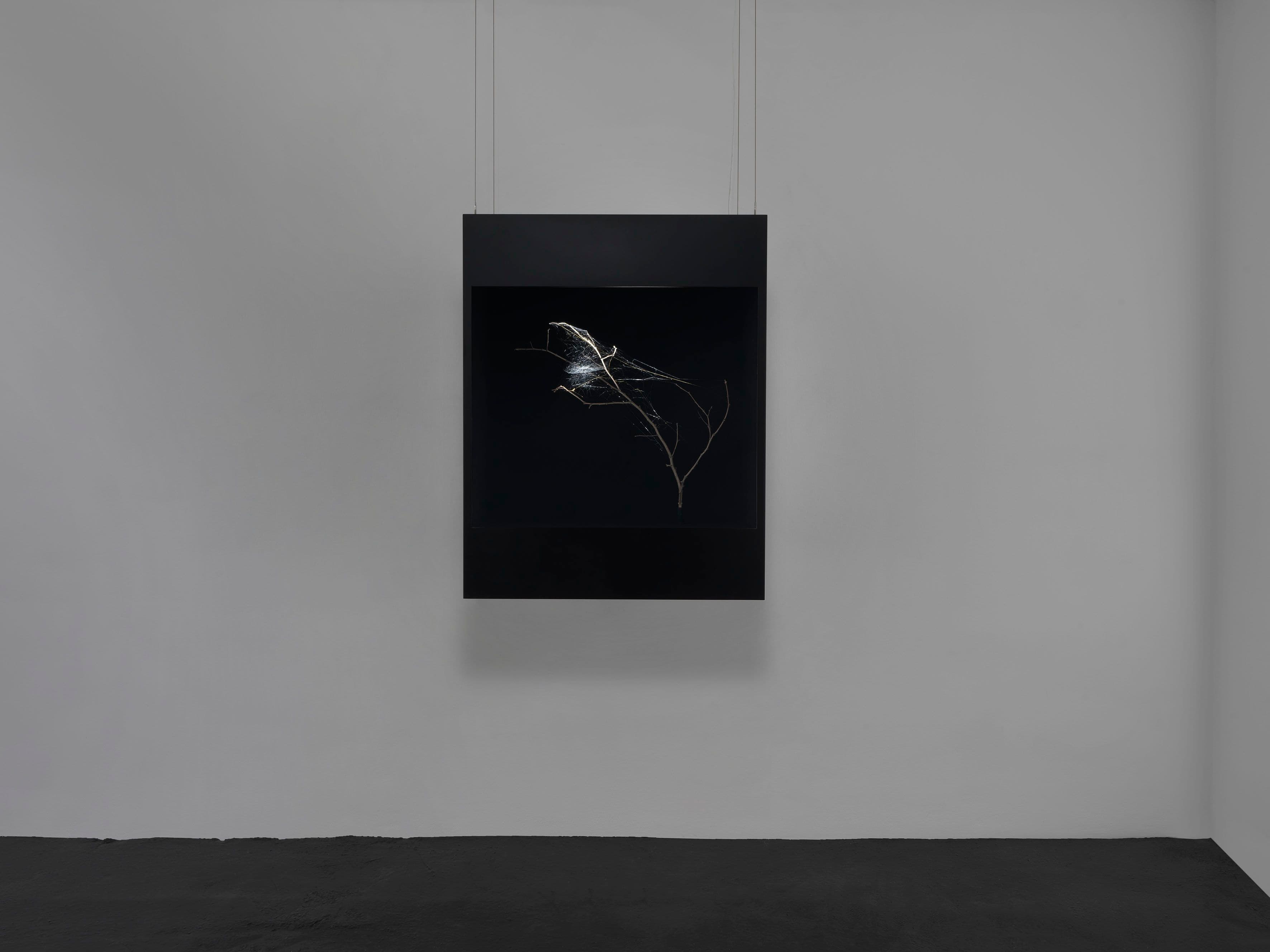 Tomás Saraceno — Tomás Saraceno — image 5 of 6