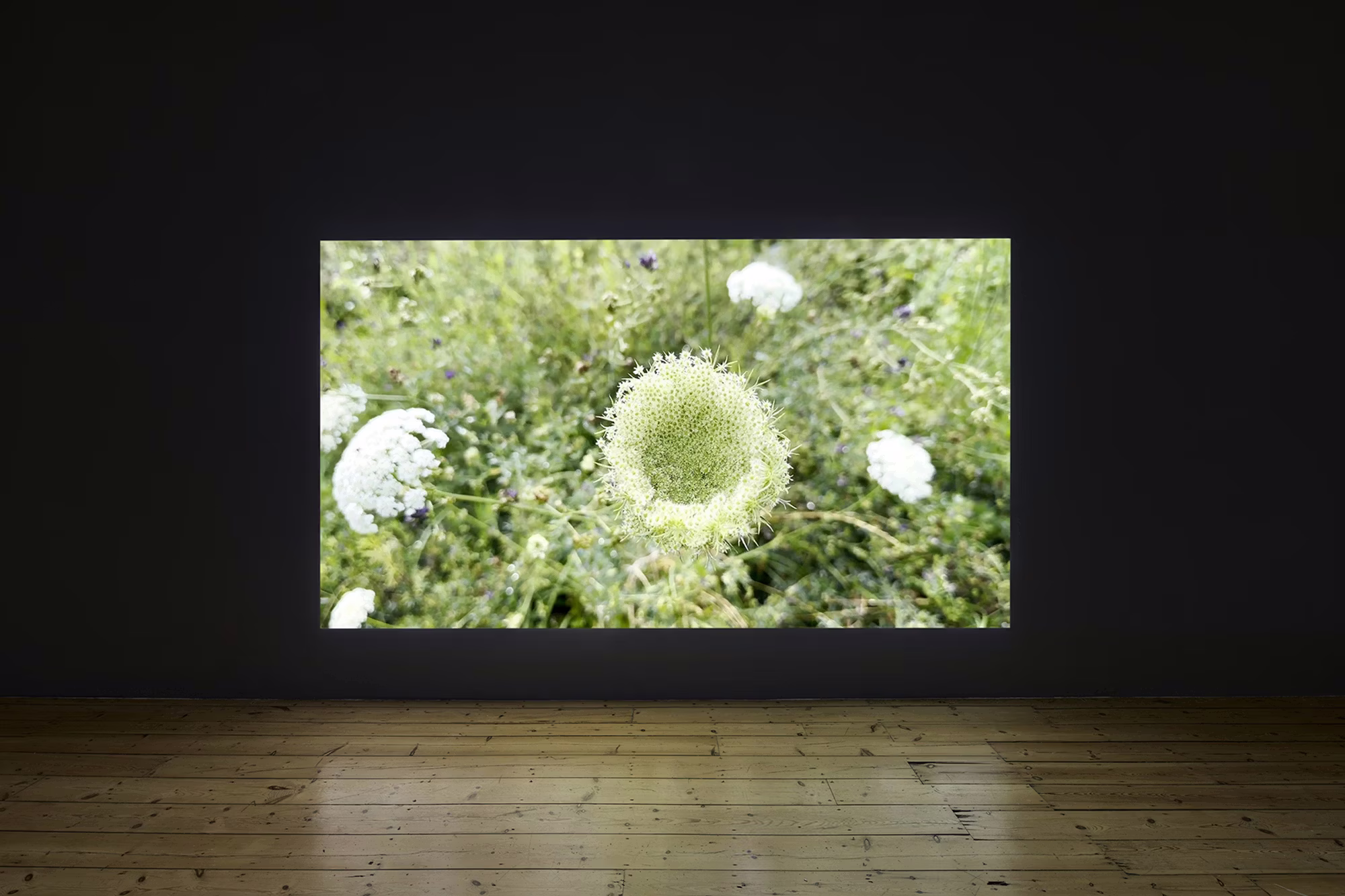 Wolfgang Tillmans — Build From Here
