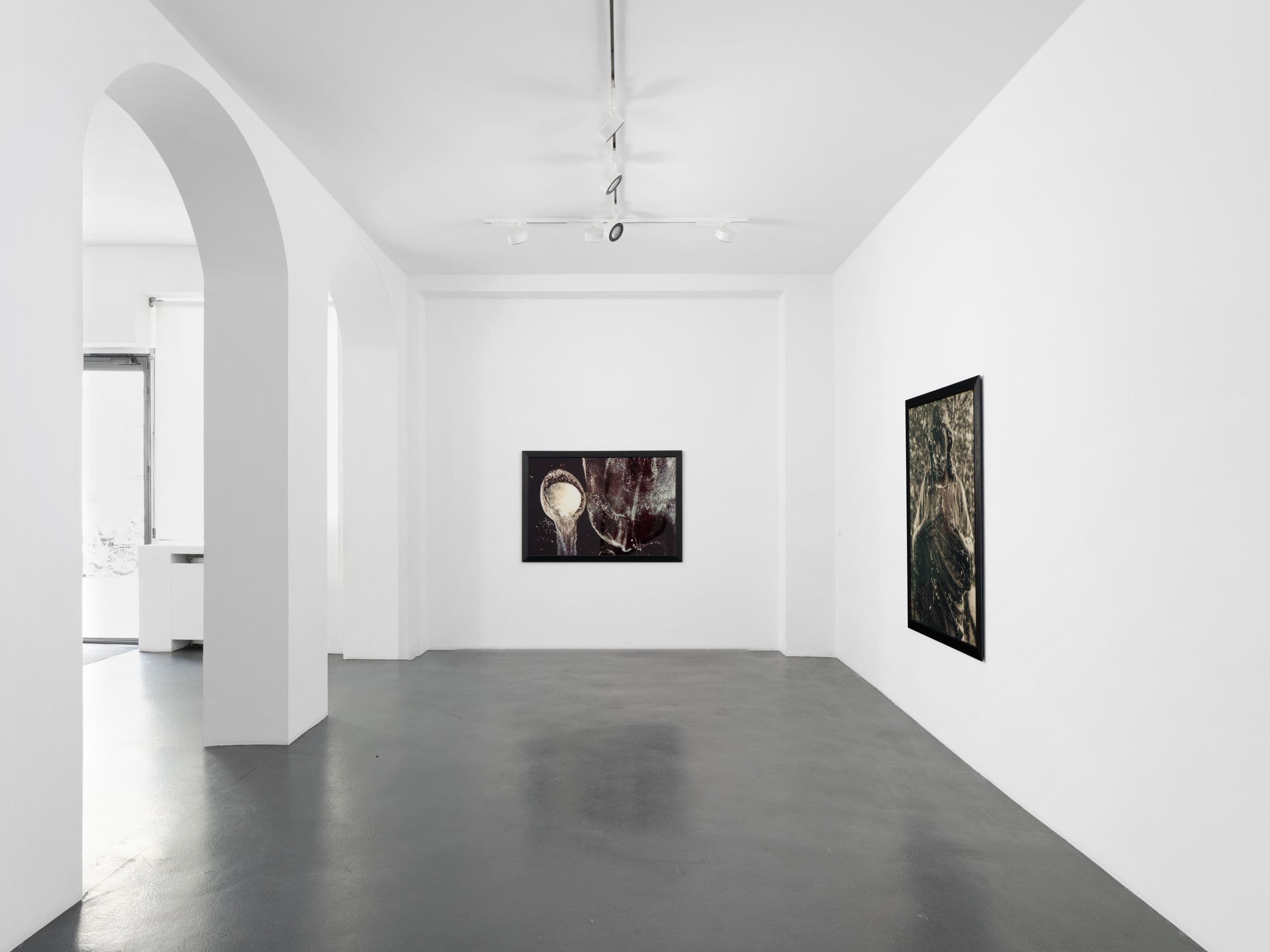 A Personal Mythology Immersions and Bodily Fluids - Image 2