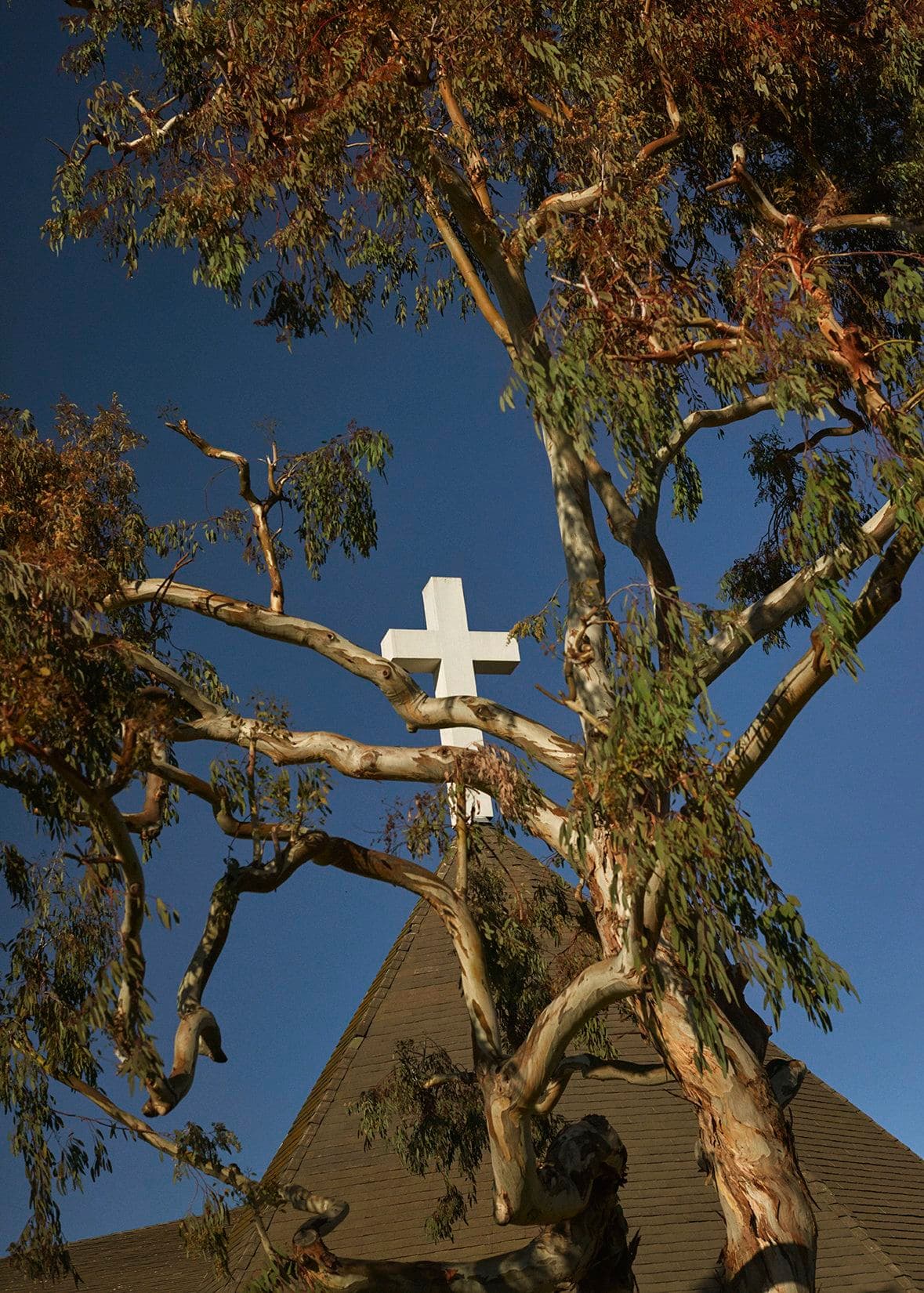 Niall O’Brien — Three Cities — image 1 of 4