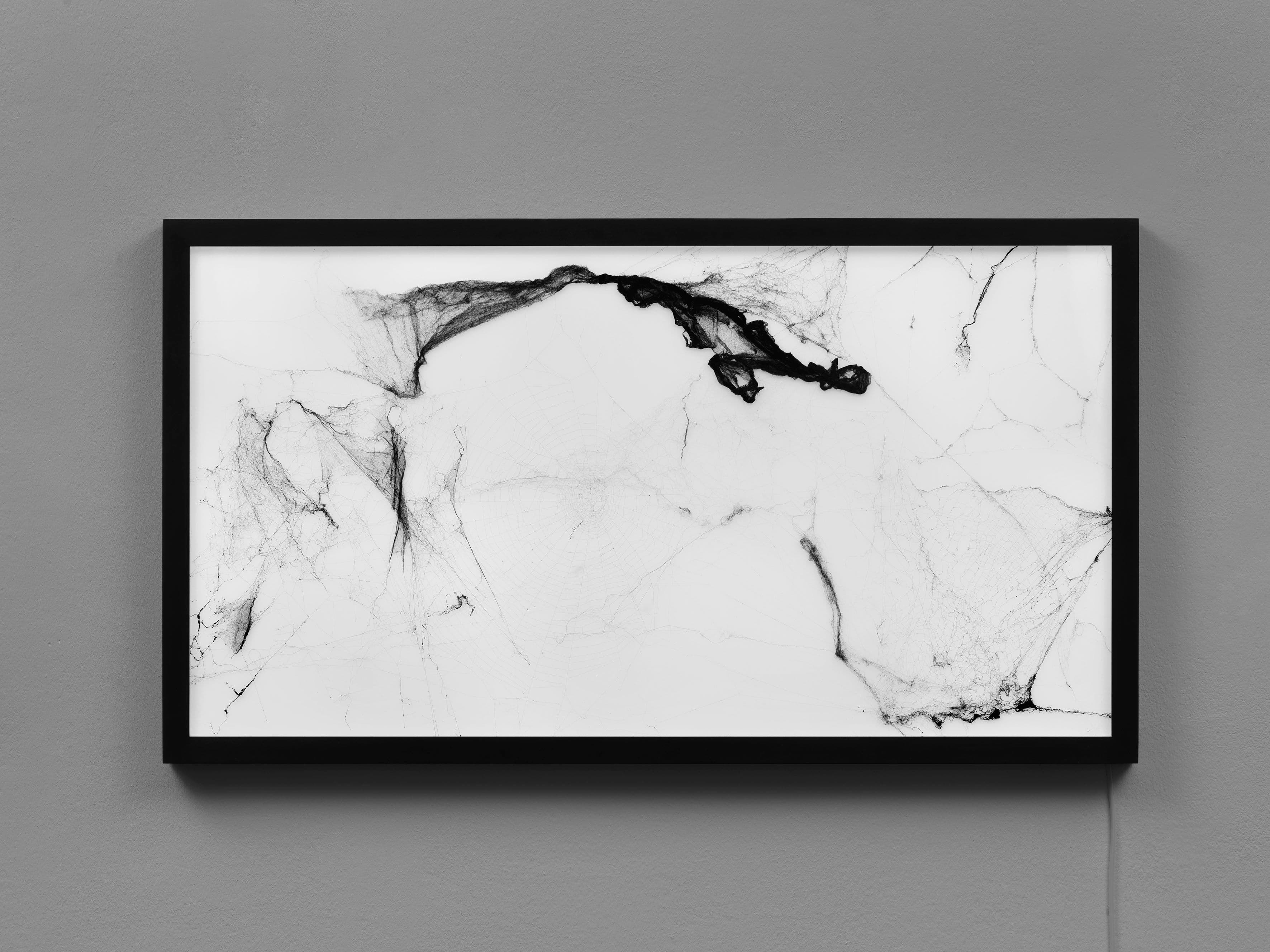 Tomás Saraceno — Tomás Saraceno — image 6 of 6