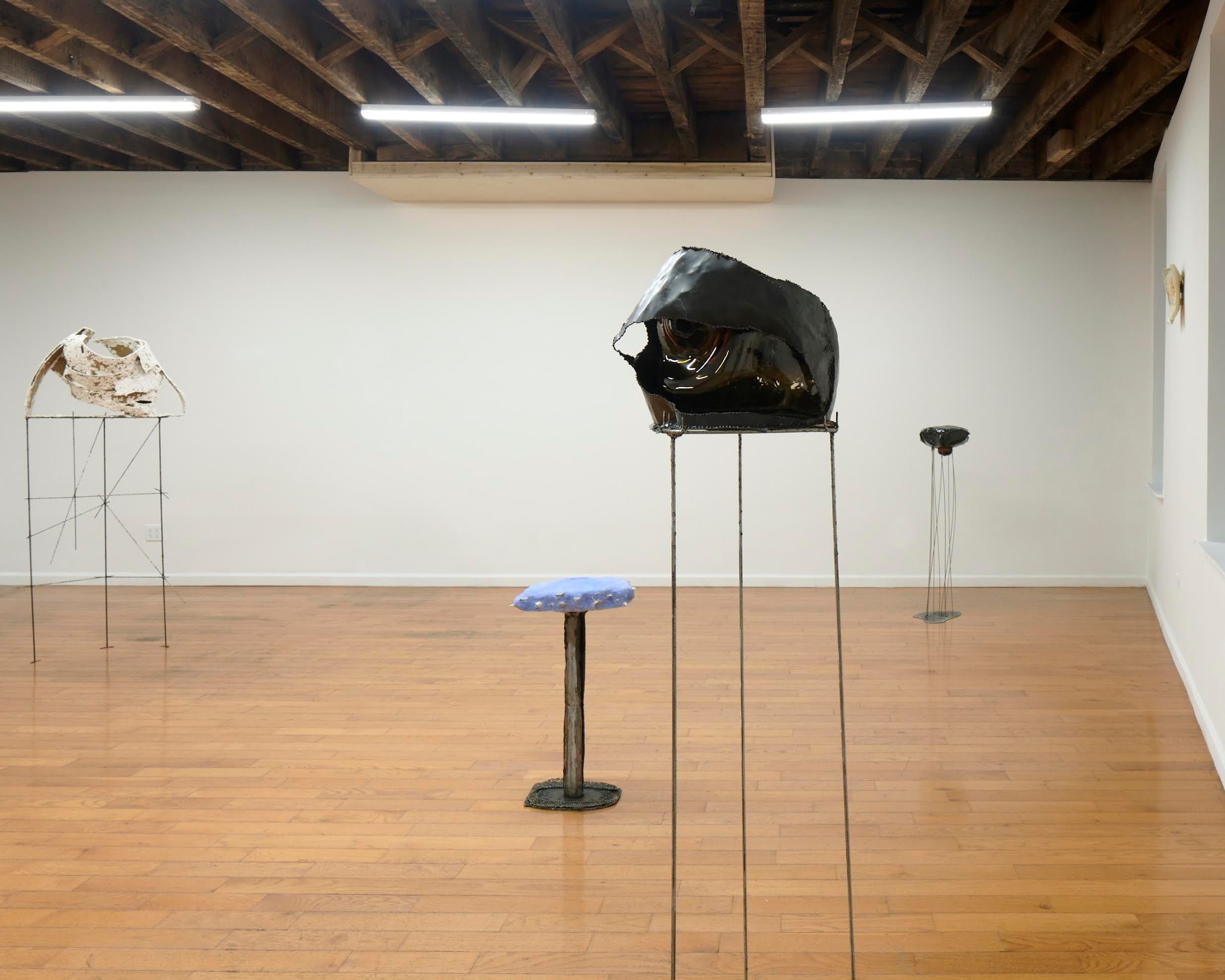 Linnéa Gad — Return of the Mollusk — image 2 of 3
