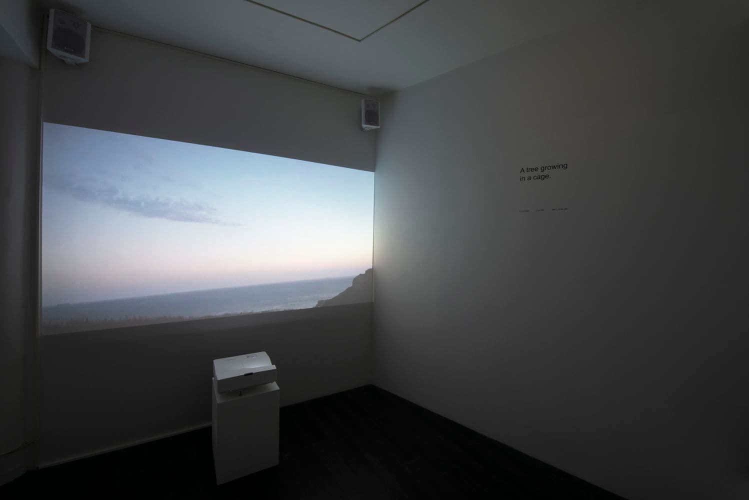 David Horvitz — Avenues All Lined With Trees — image 3 of 4