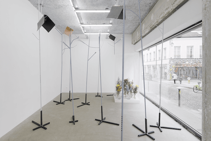 Jesse Darling — Selva Oscura — image 1 of 4