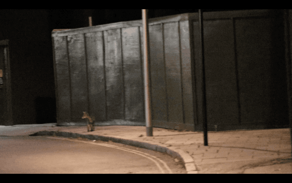 Cameron Scott — A Soft Rupture