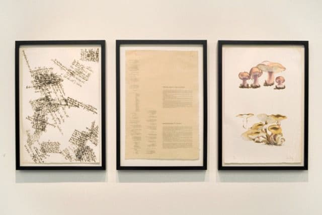 John Cage — Artist and Naturalist — image 3 of 8