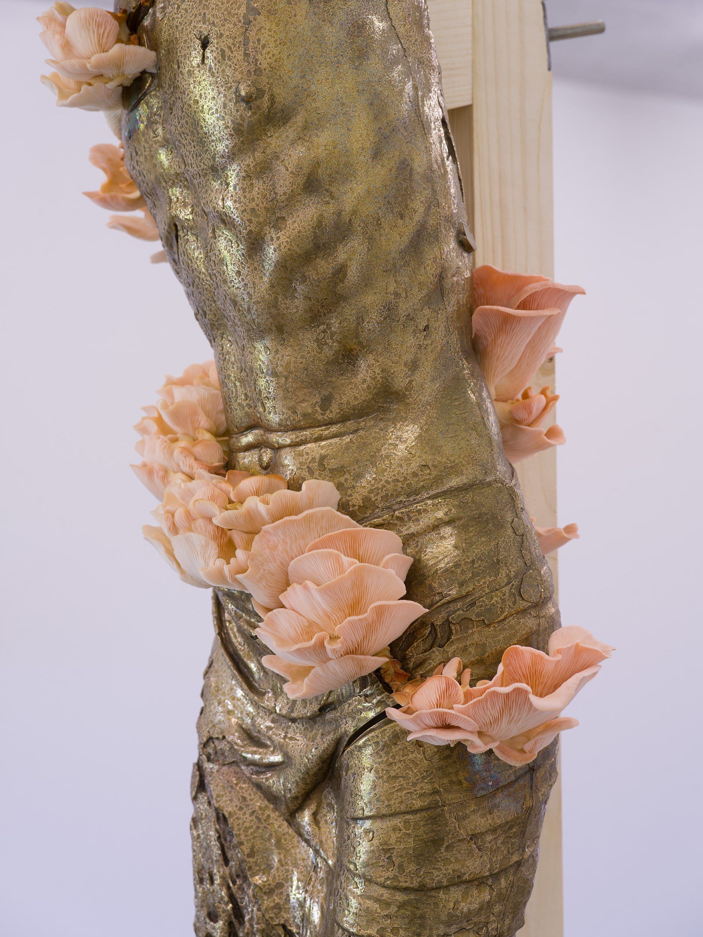 Danh Vo — Danh Vo