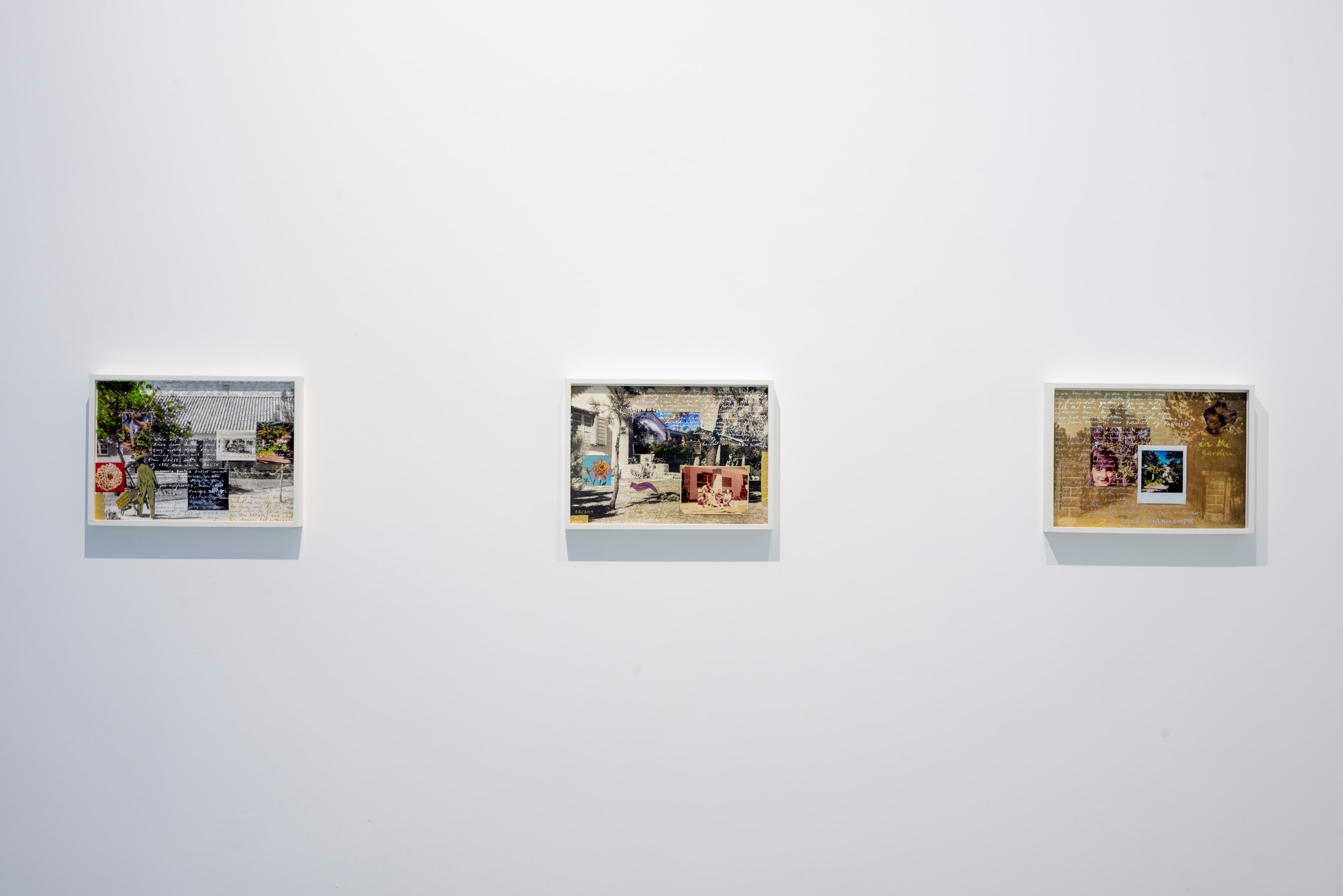 Daniel Blaufuks — Avant-Gardens (Part II): Jardim Cinema — image 3 of 6