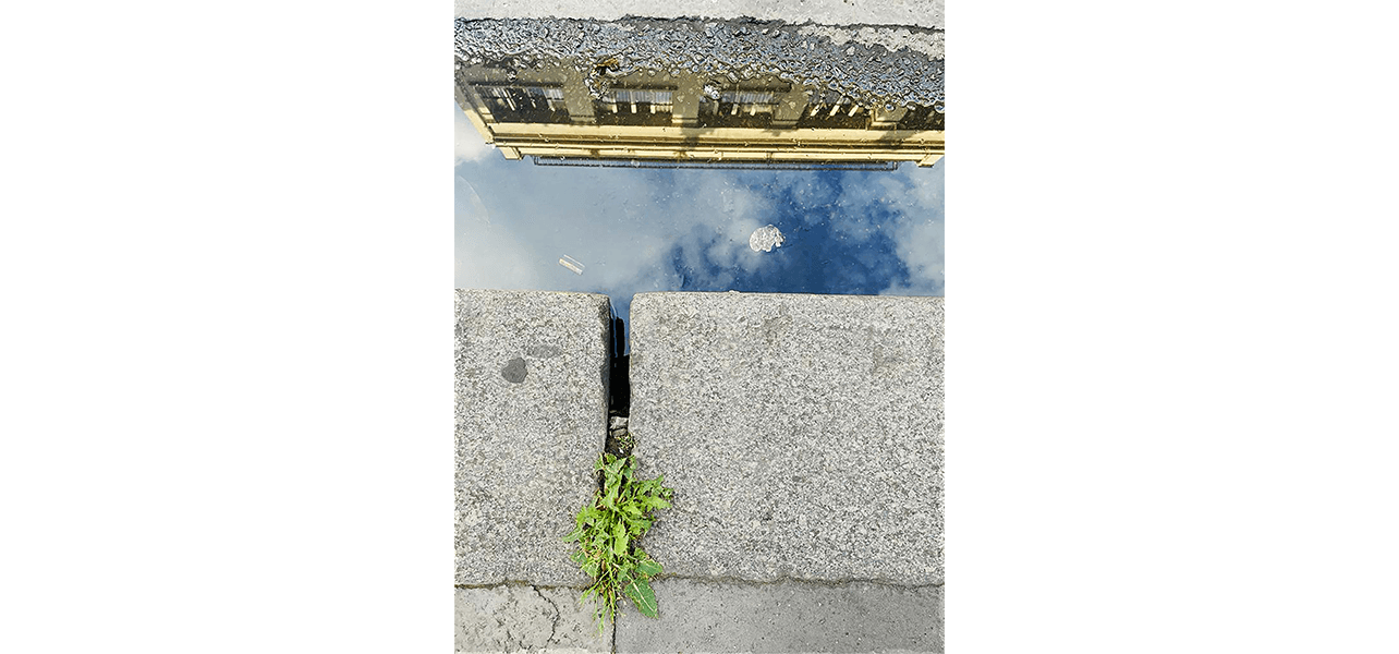 Olu Ogunnaike — An Enclosed Garden 