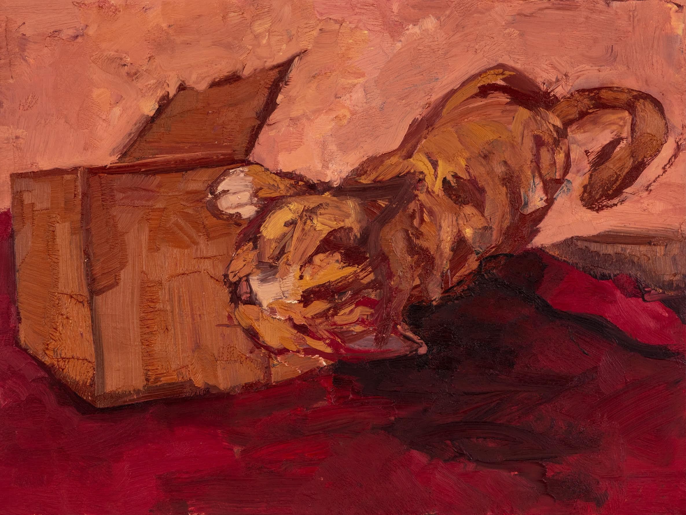 Michael Ajerman — Break In — image 1 of 5