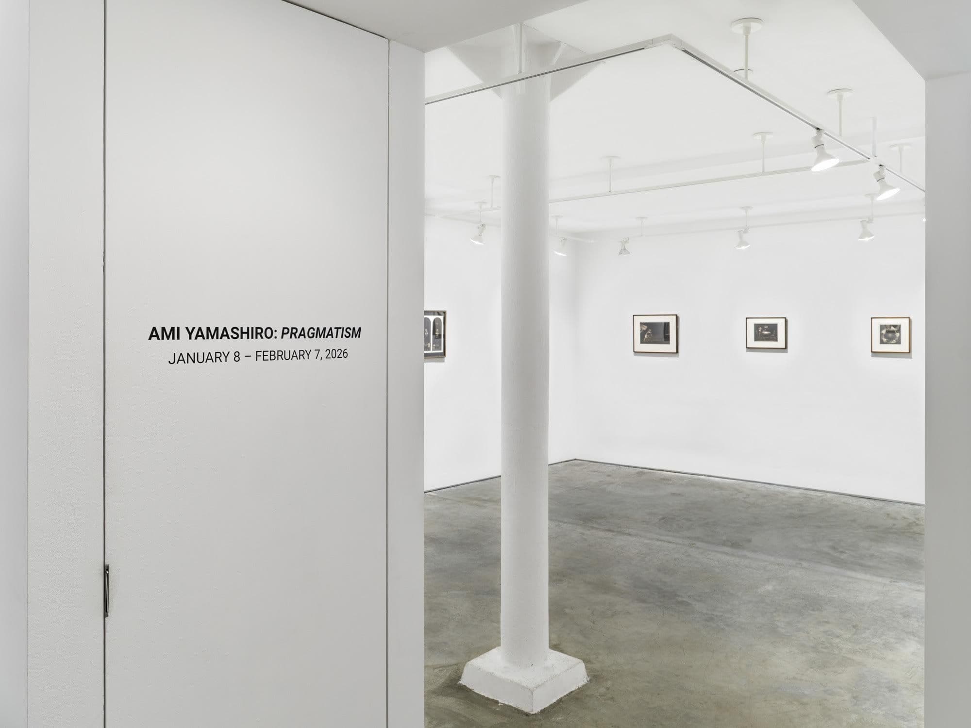 Ami Yamashiro — Pragmatism — image 5 of 5