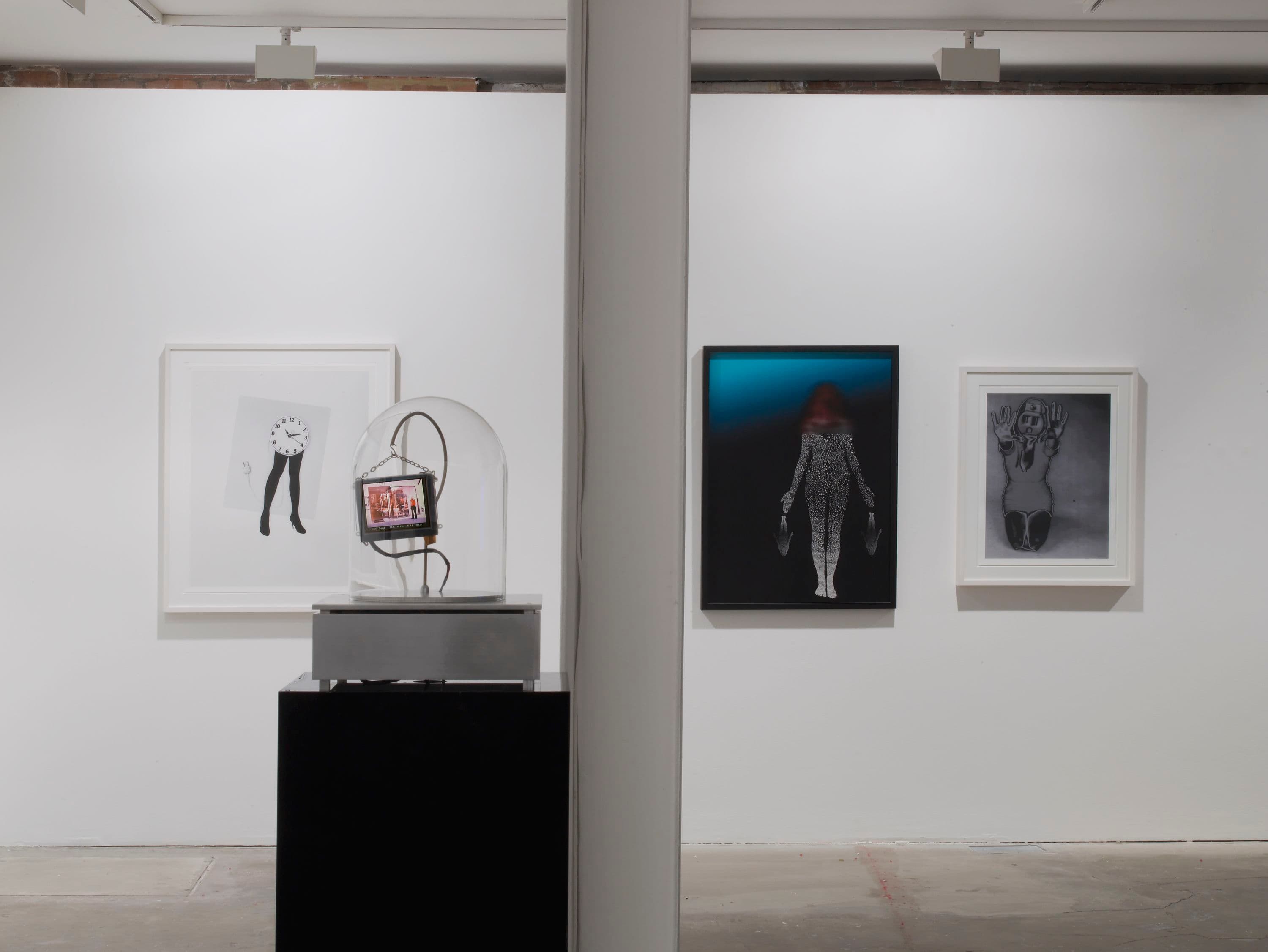 Lynn Hershman Leeson — Trans Genesis: Evaporations and Mutations — image 1 of 2