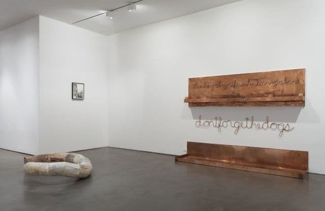 Robert Kinmont — trying to return home educated — image 2 of 8