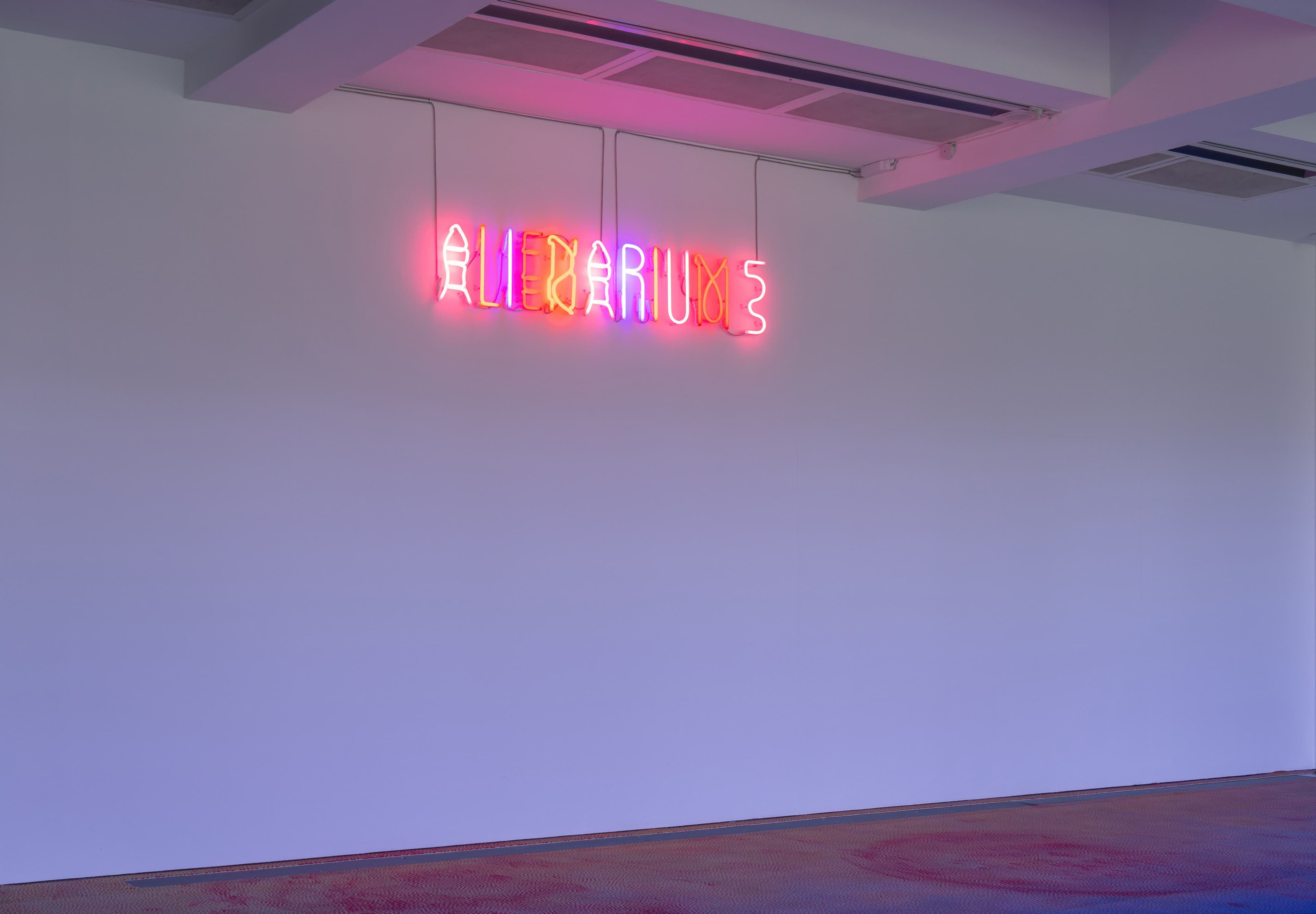 Dominique Gonzalez-Foerster — Alienarium 5