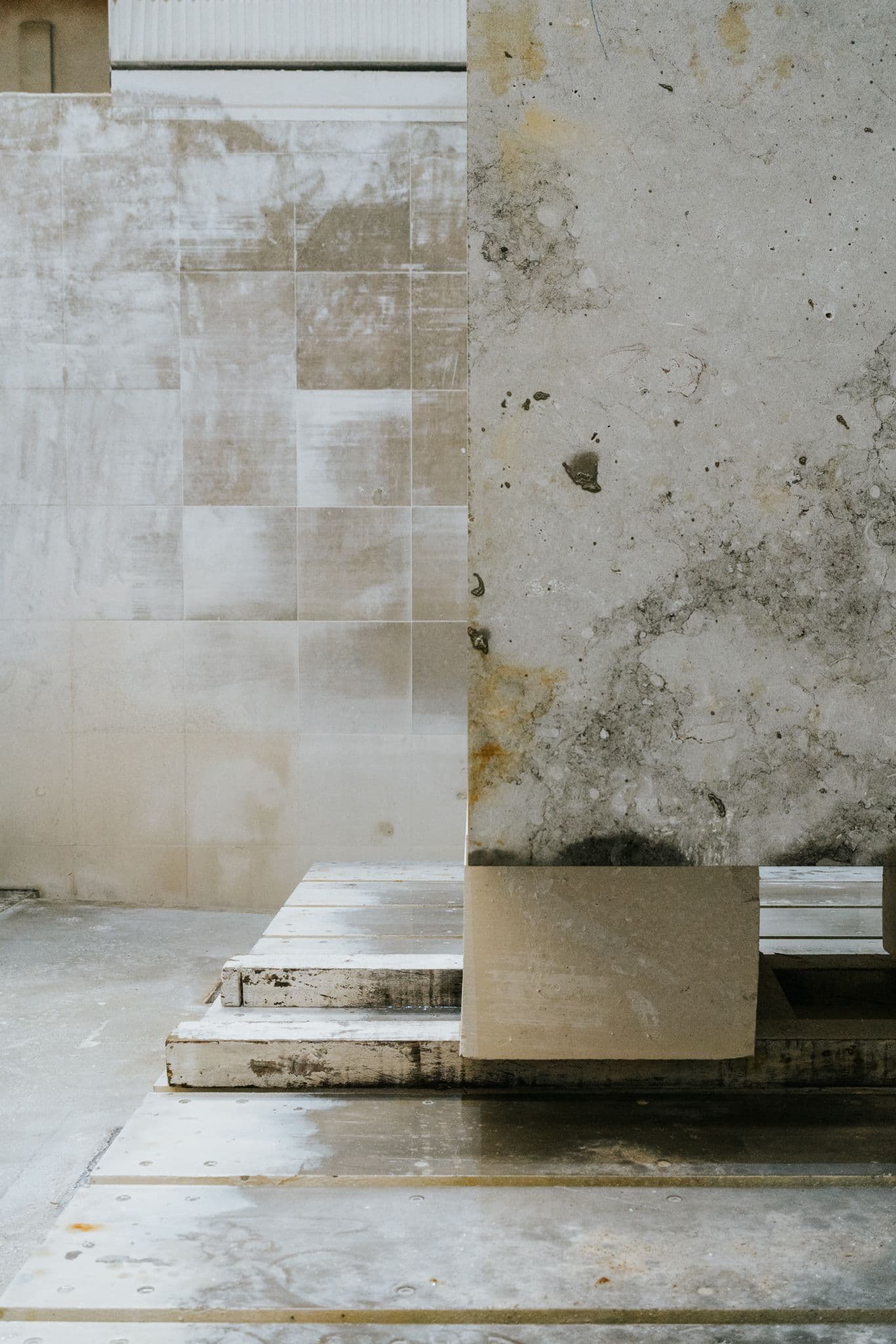 Group Exhibition — Expanded