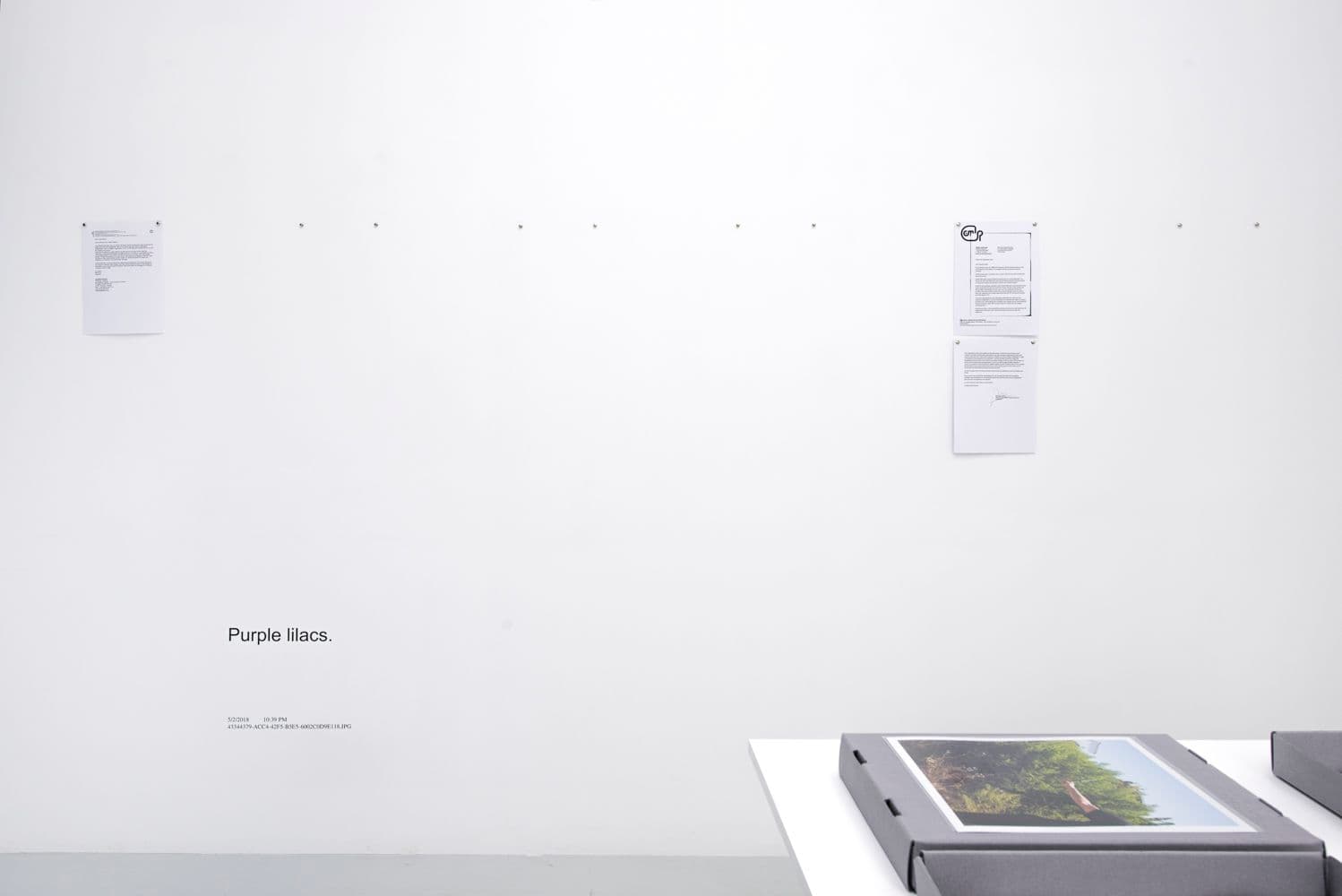 David Horvitz — Avenues All Lined With Trees — image 7 of 8