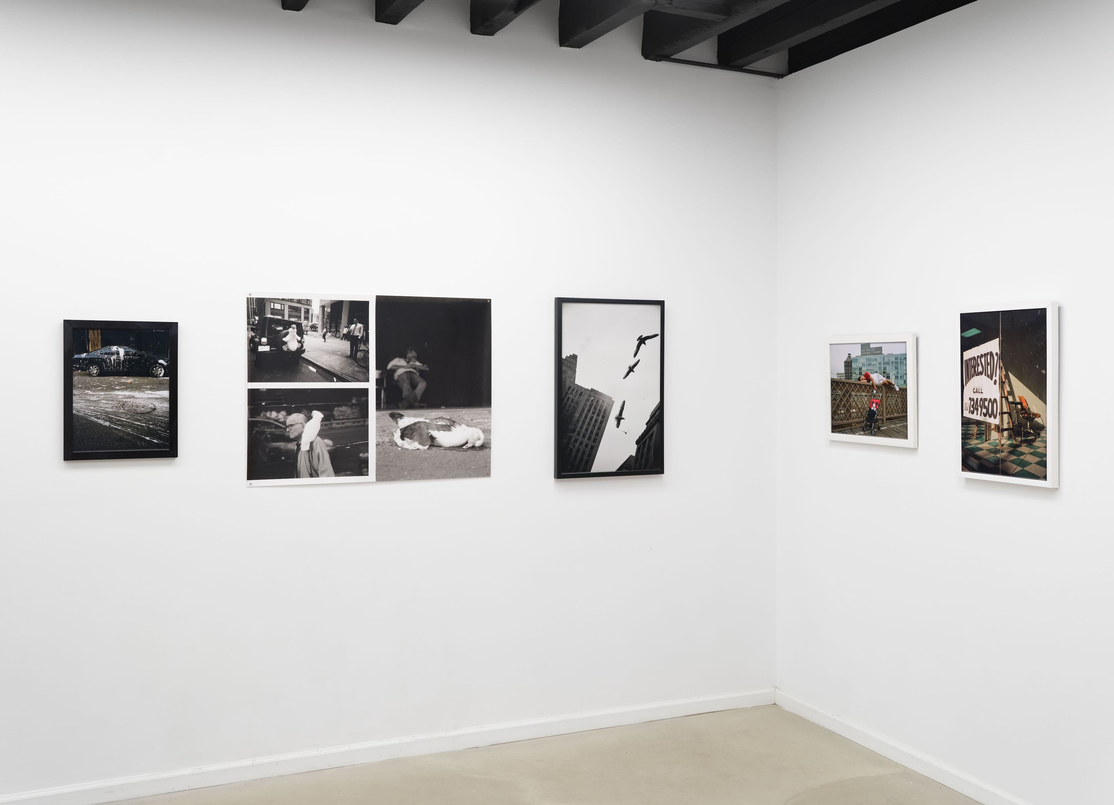 Cheryl Dunn — The Whiles NYC — image 7 of 8