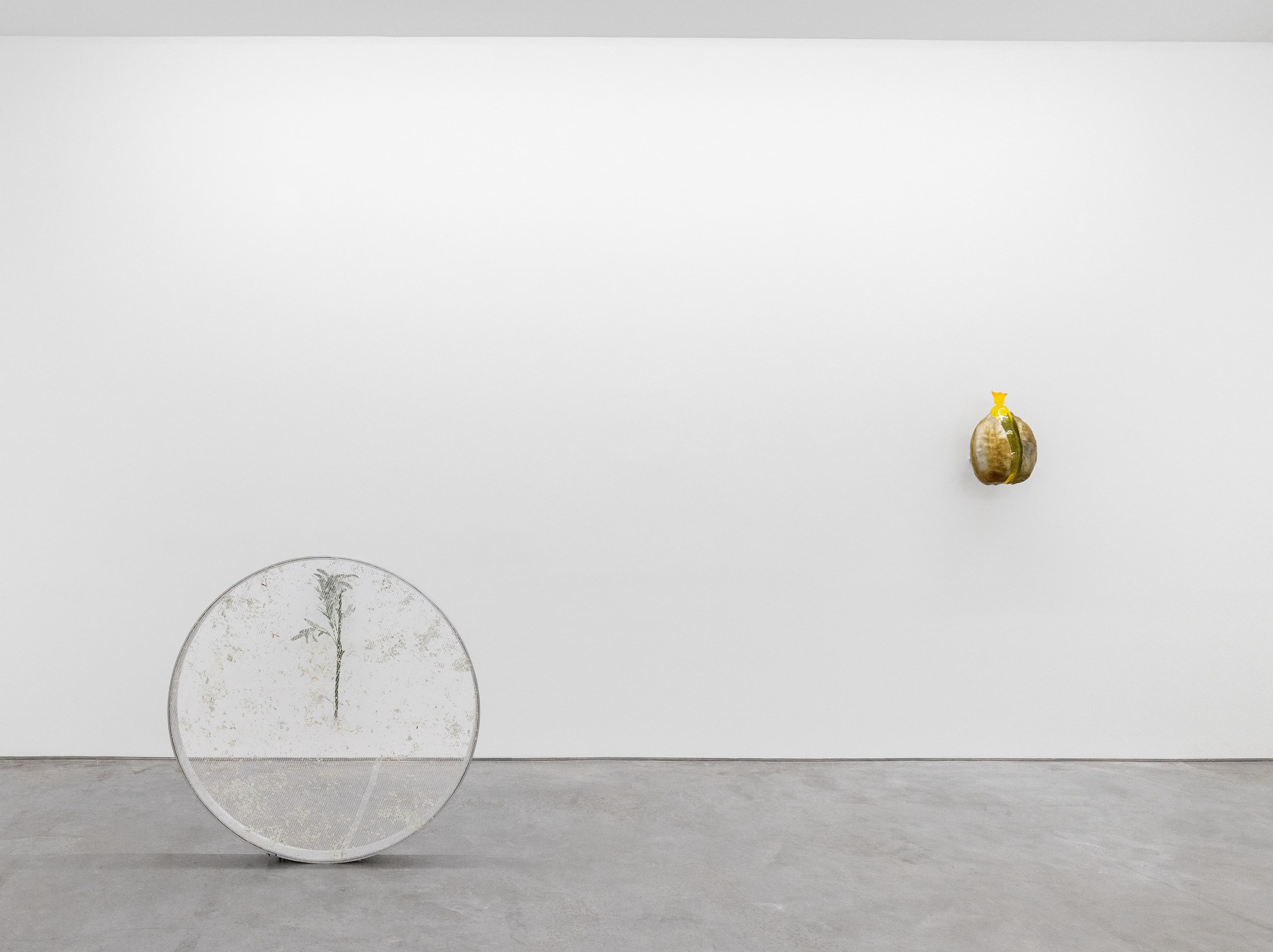Tania Pérez Córdova — Breathing for Speech Exercises — image 1 of 2