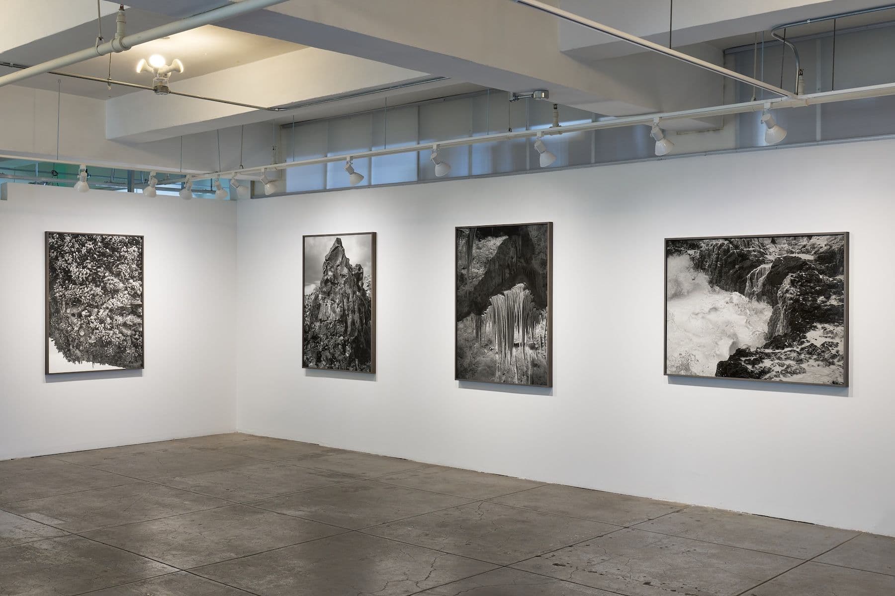 Ron Jude — Low Tide — image 8 of 12