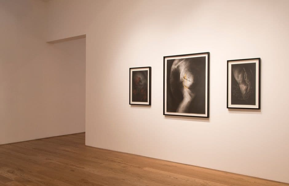Salomón Huerta & Devan Shimoyama — Salomón Huerta & Devan Shimoyama — image 6 of 8