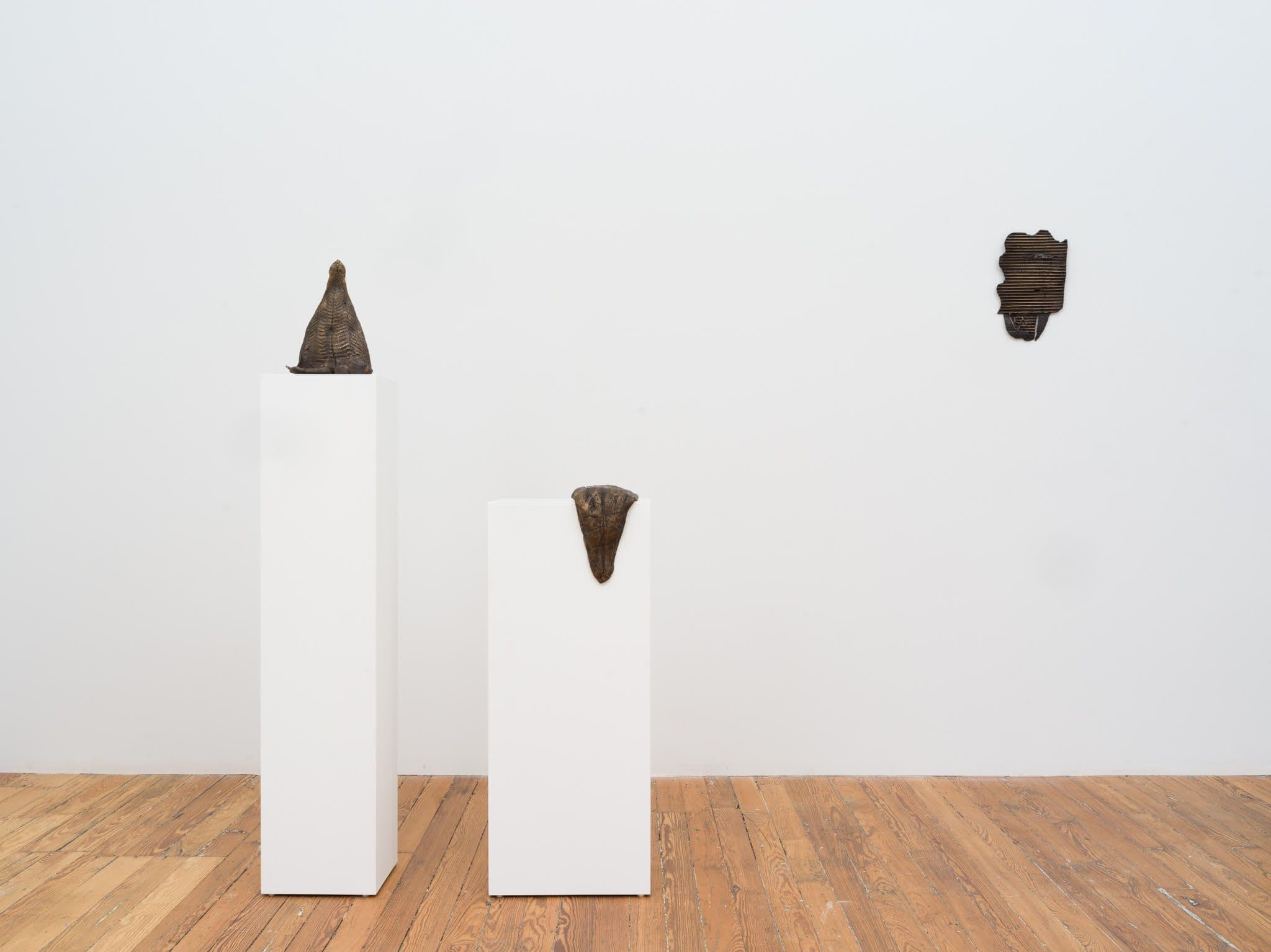 Ara Dymond — Ara Dymond — image 2 of 4