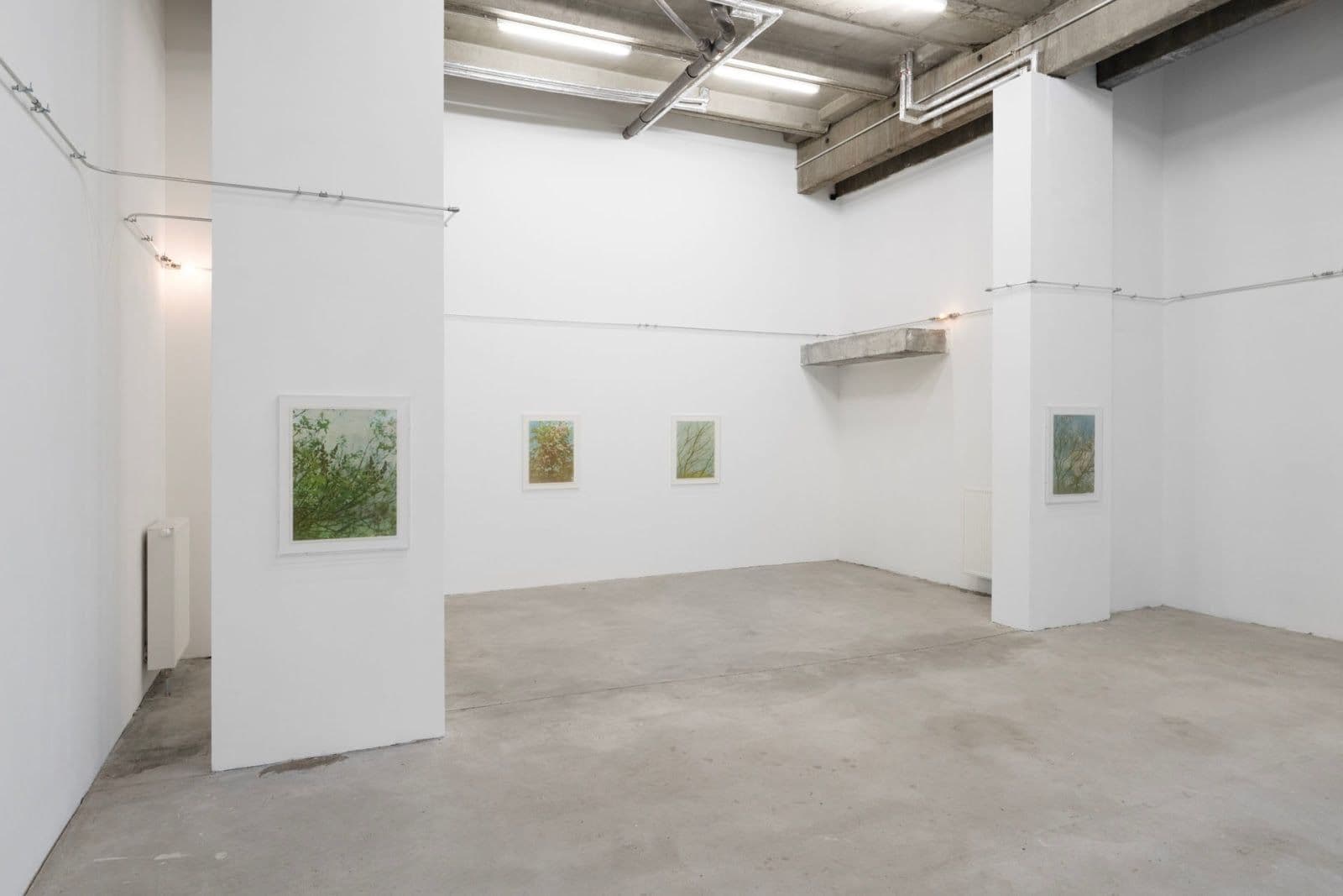 Christopher Aque — Regrowth — image 1 of 3