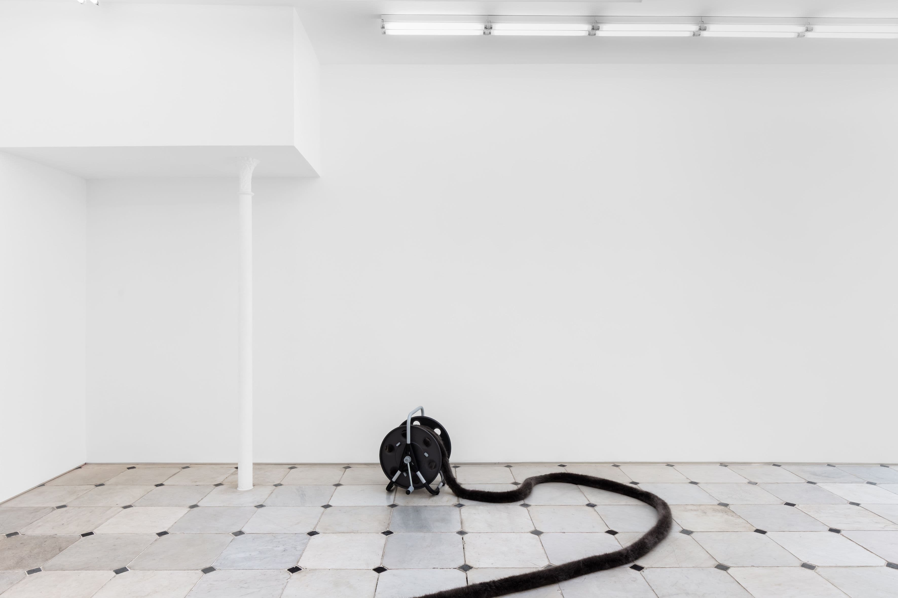 Nicole Wermers — Tails & Fainters — image 7 of 8