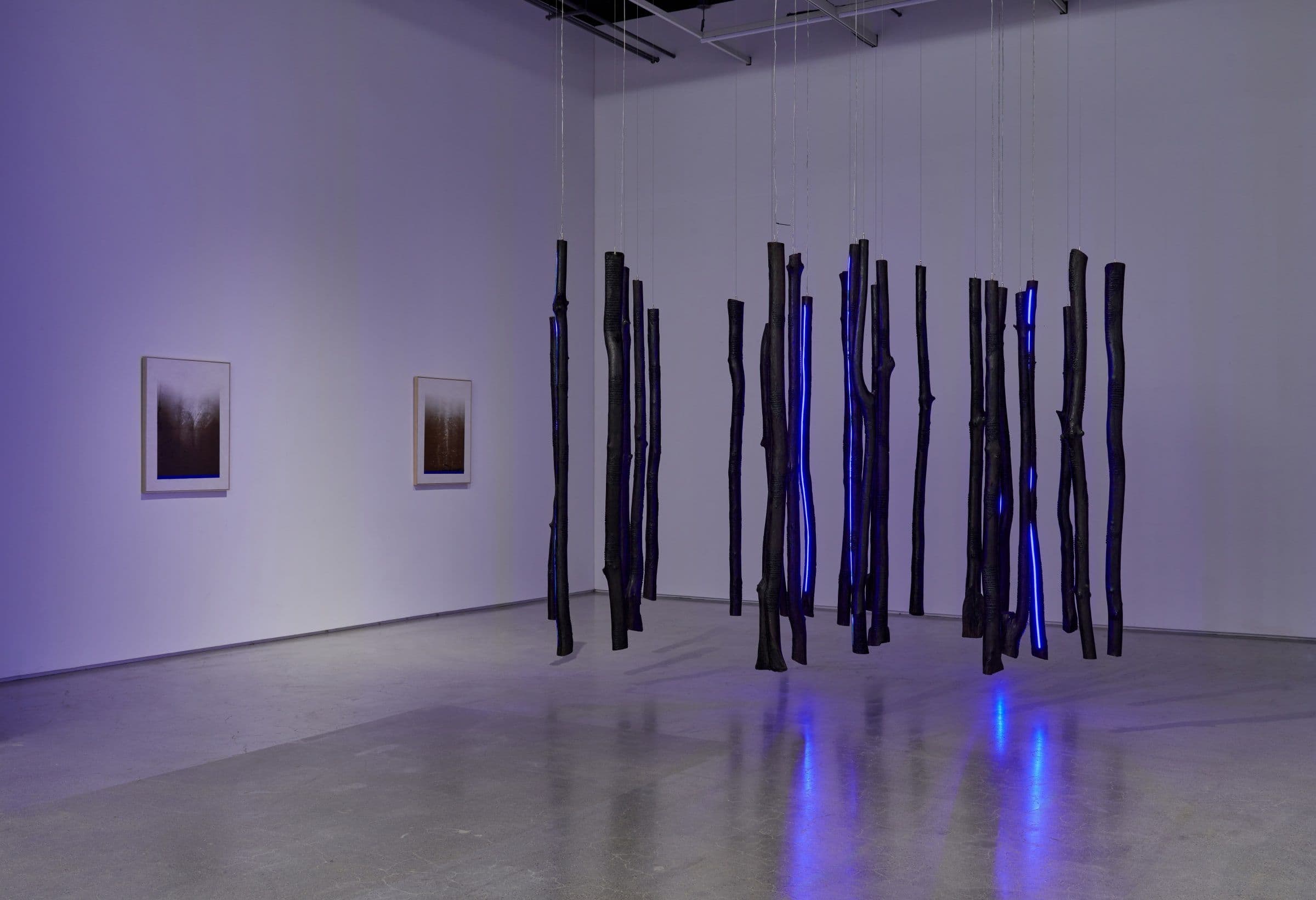 Group Exhibition — Echoes of Gaia — image 3 of 8