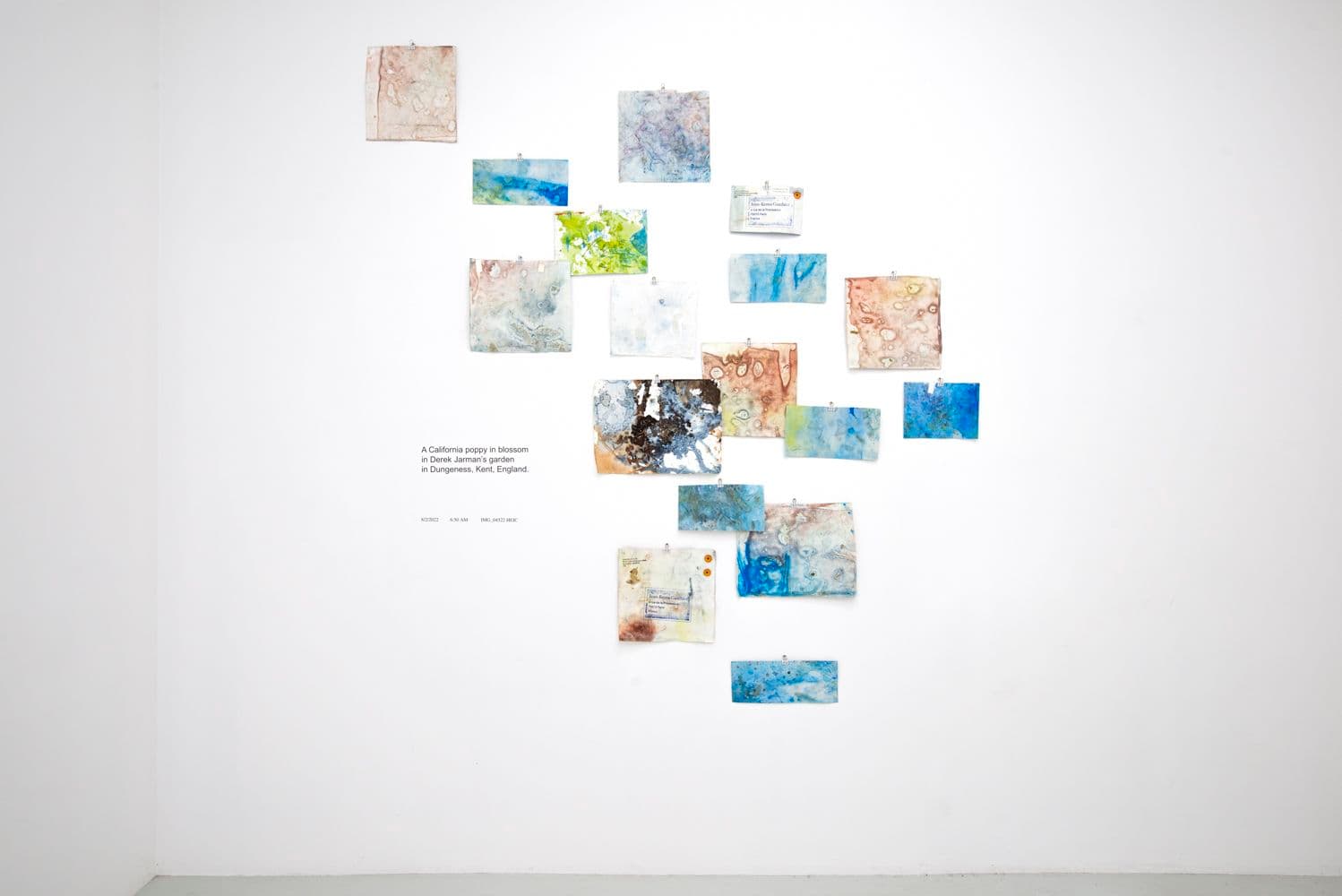 David Horvitz — Avenues All Lined With Trees — image 9 of 12