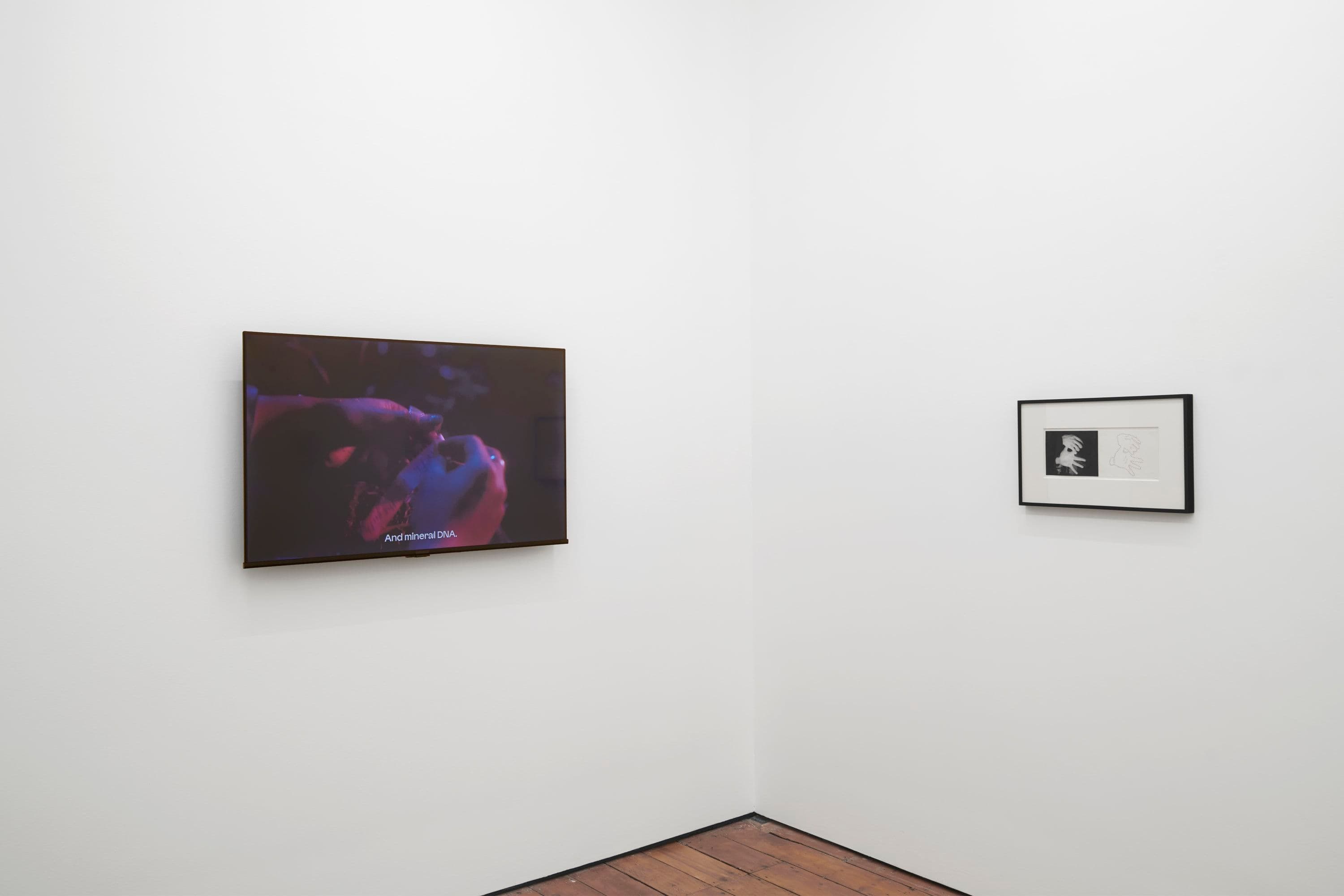 Air de Paris & Take Ninagawa — Condo London 2026 — image 5 of 10
